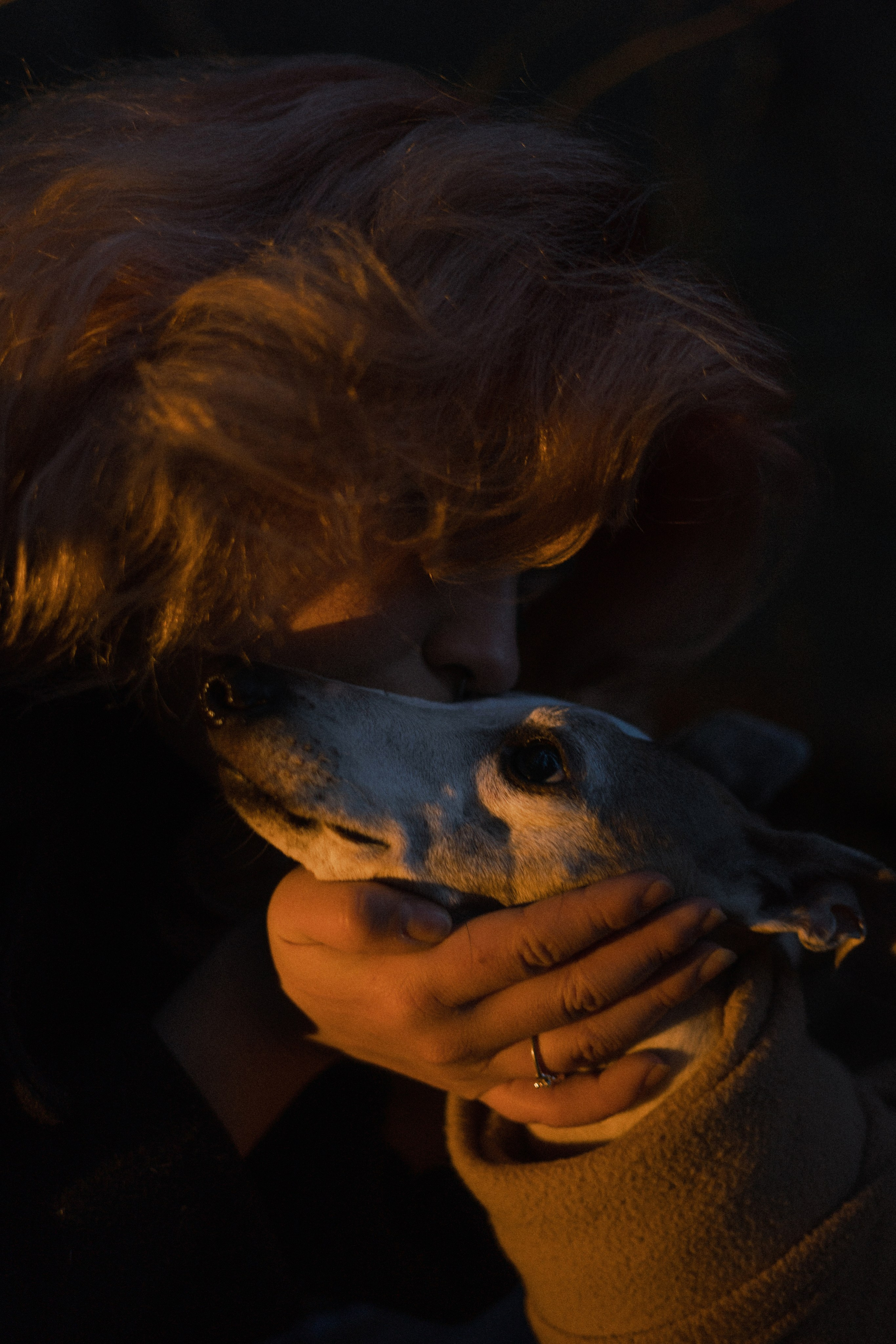 Вика, Джем и Белла. Фотограф-анималист Богданова Полина