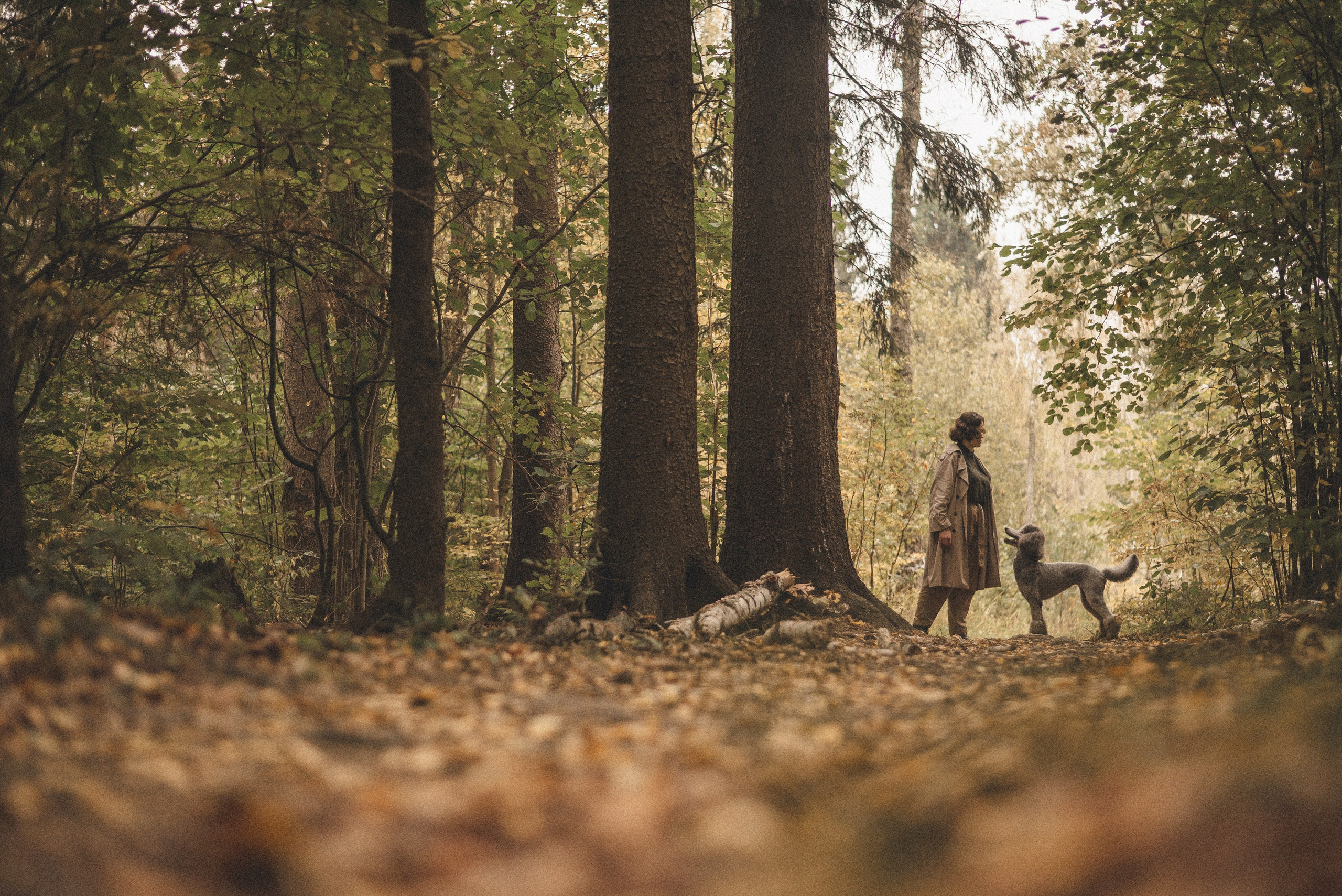 Алёна и Смоки. Фотограф-анималист Богданова Полина