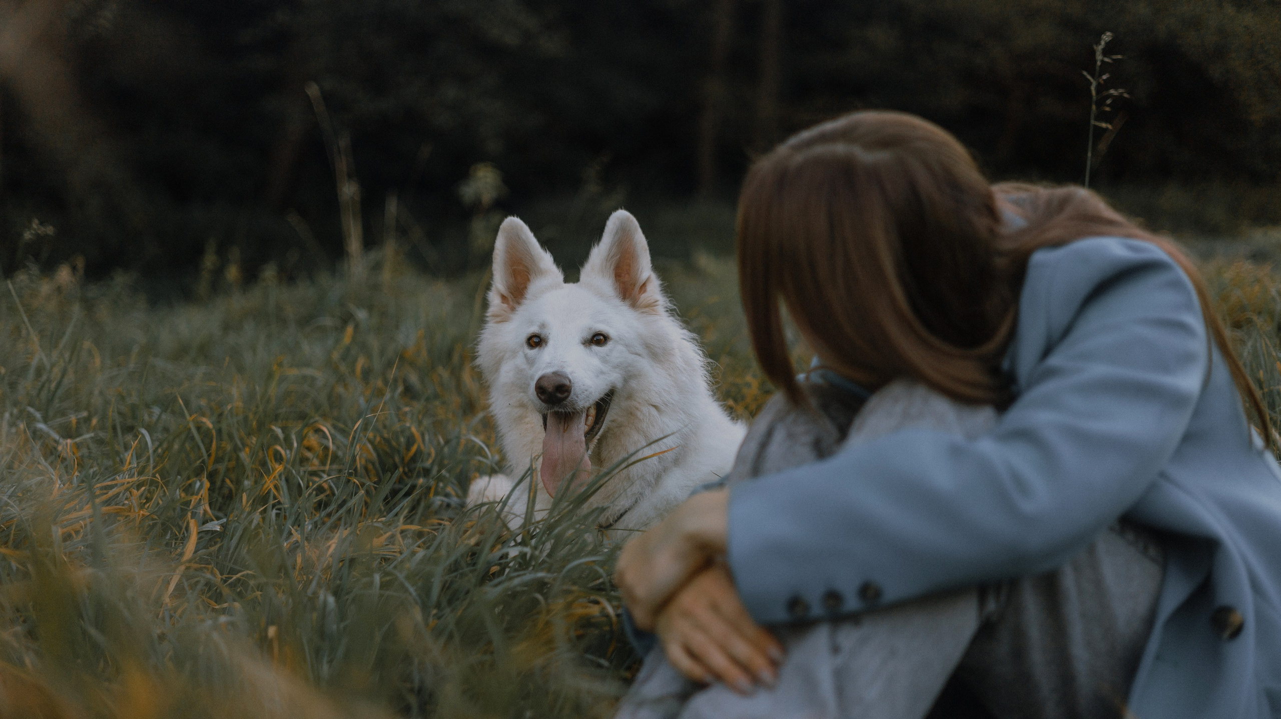 Вика и Уля. Фотограф-анималист Богданова Полина