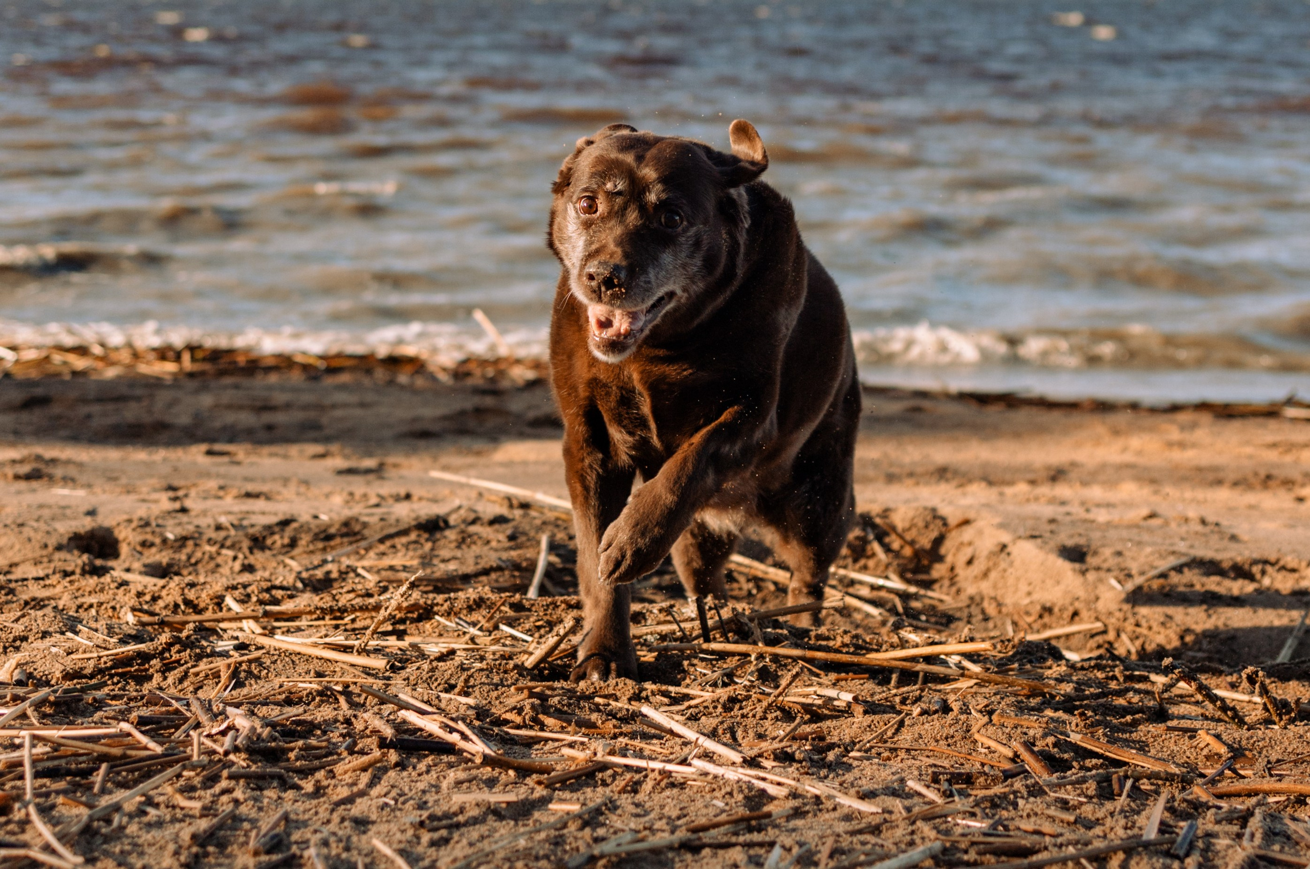 Оля и Питоня. Фотограф — Анималист | Санкт-Петербург