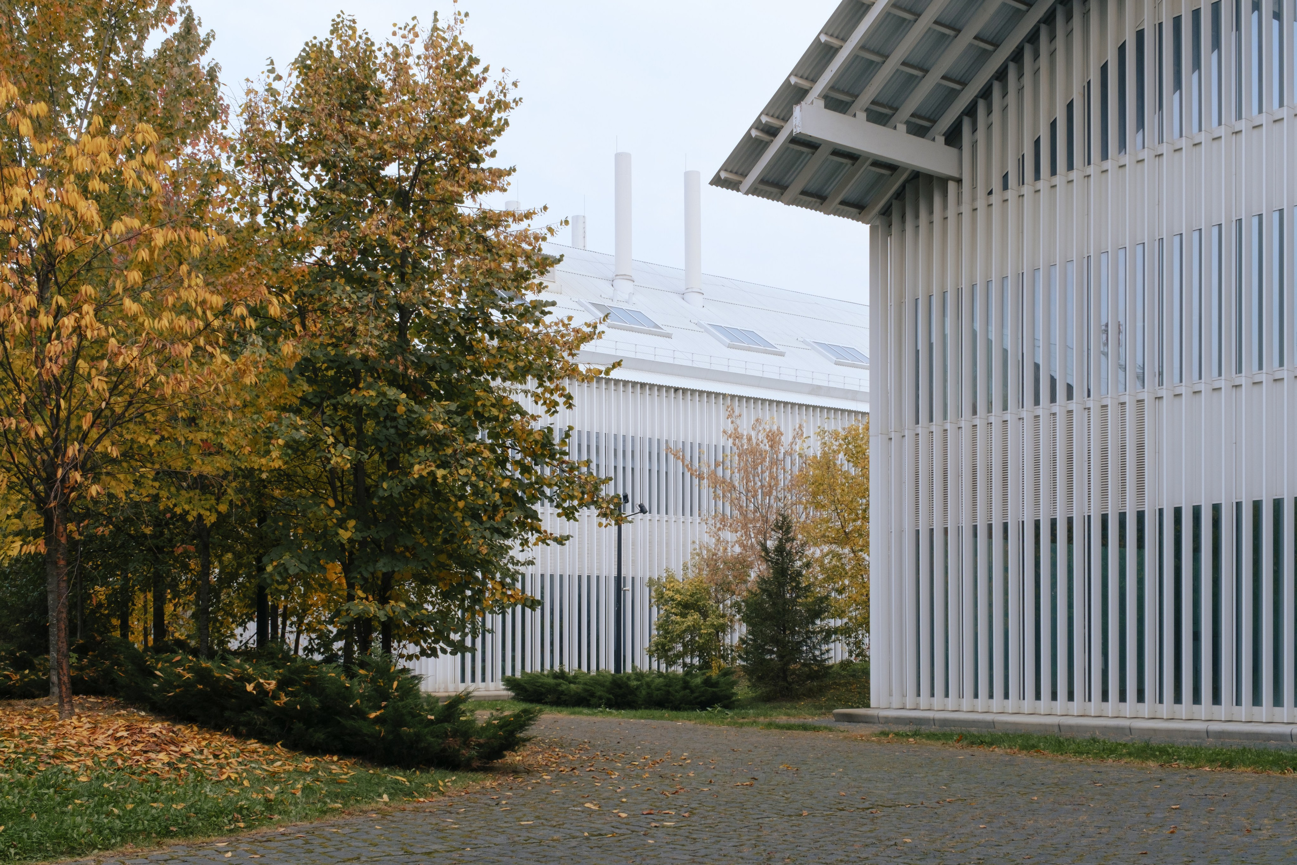 Сколтех, 2025. Фотограф и исследователь городской среды Ксения Русс