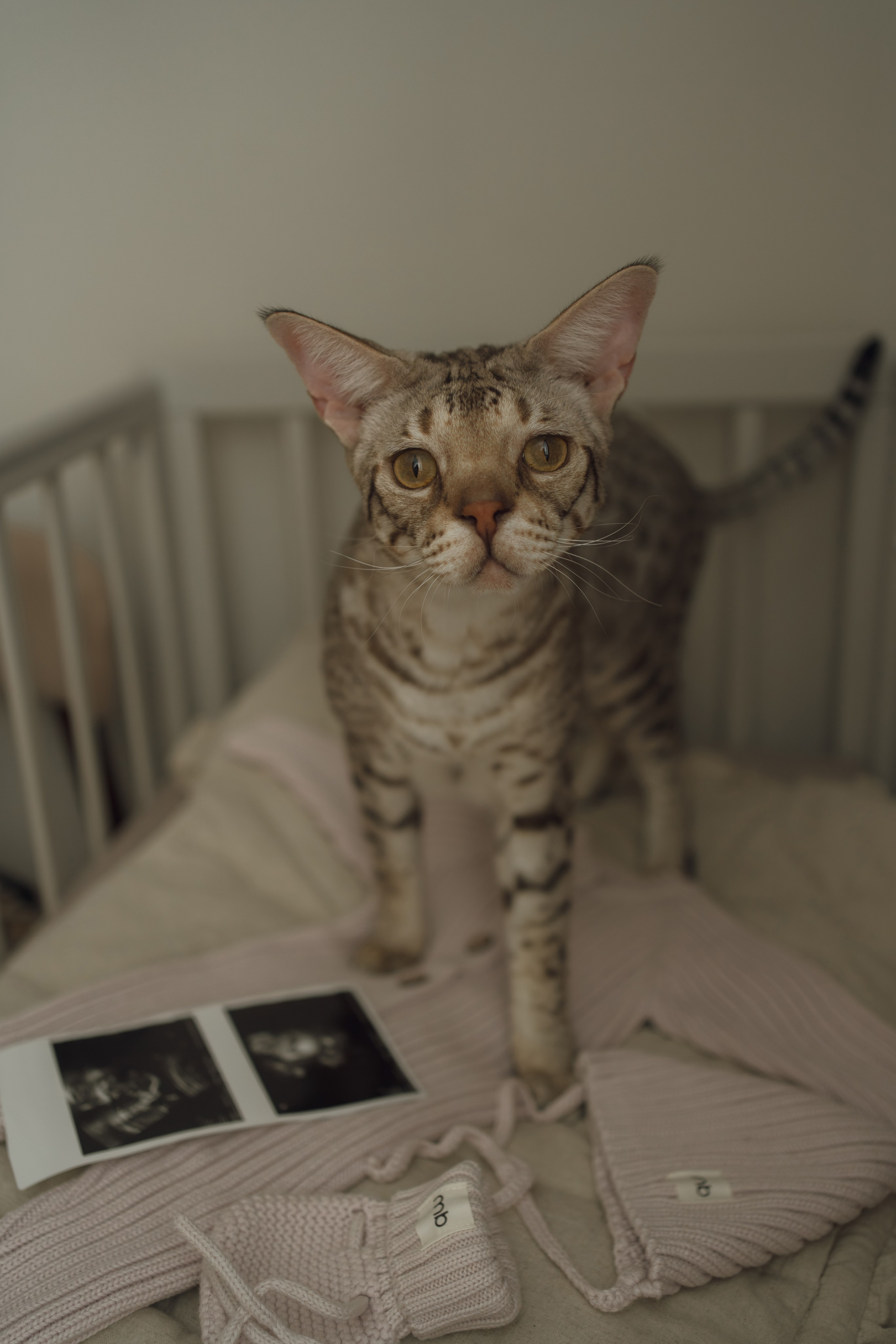 Андрей и Екатерина. Семейный и детский фотограф Плесецк, Мирный Марина Забабурина