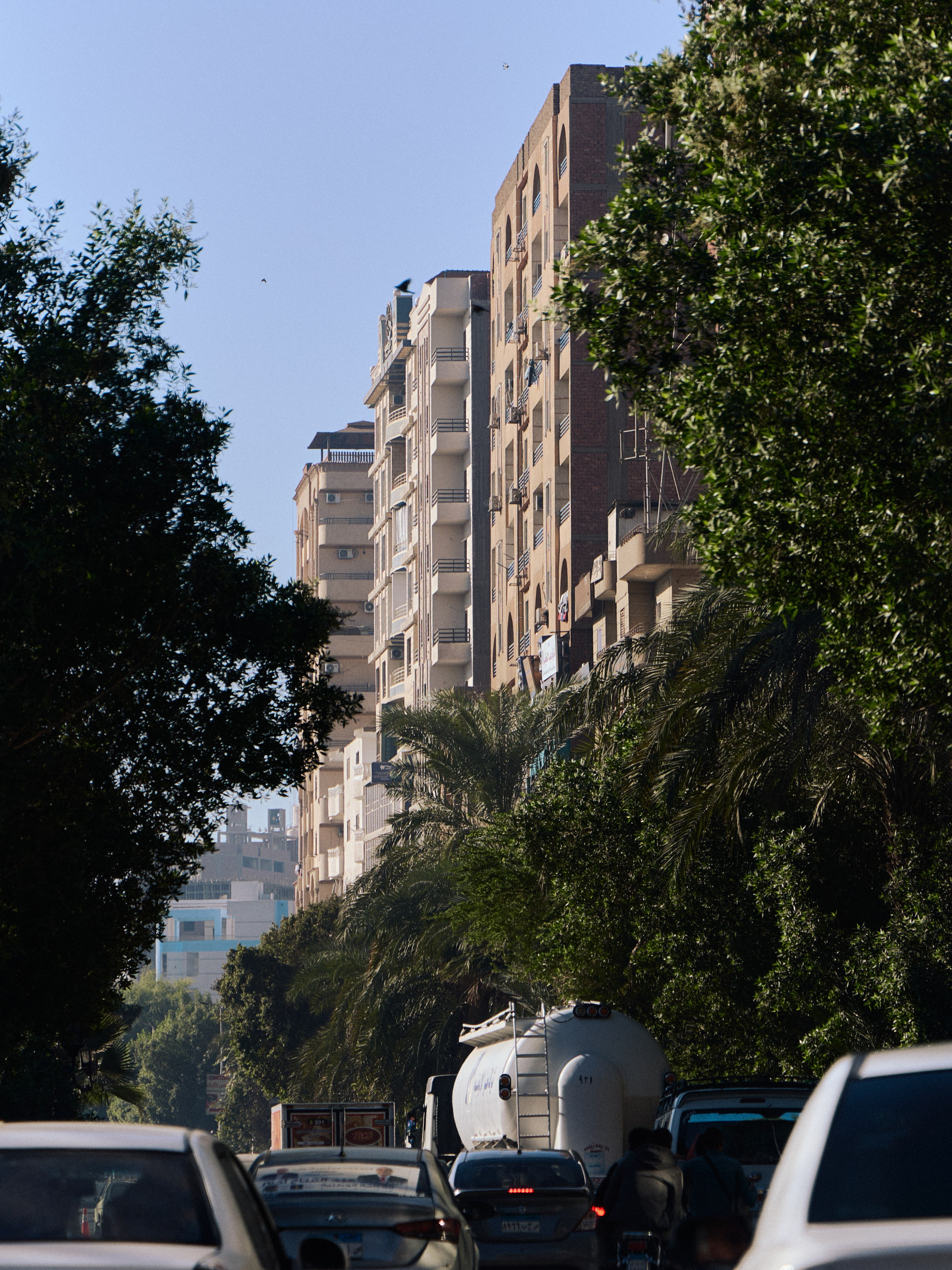 Другое 4. Jorgis — фотограф в Хургаде / обучение фотографии