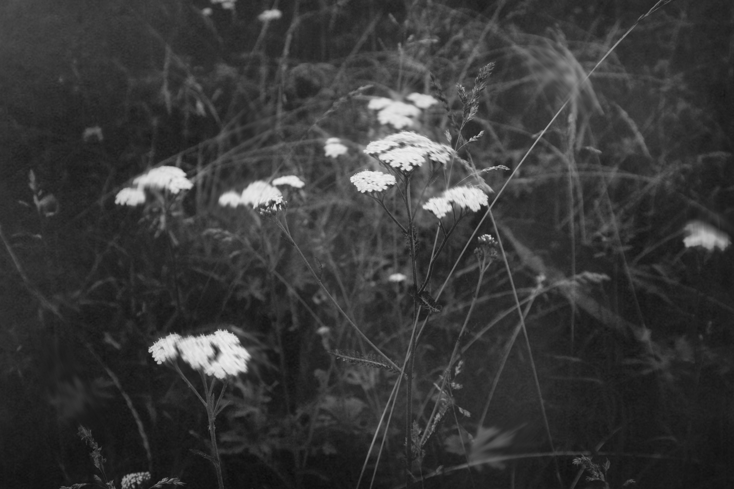 Photo by anya stepanenko