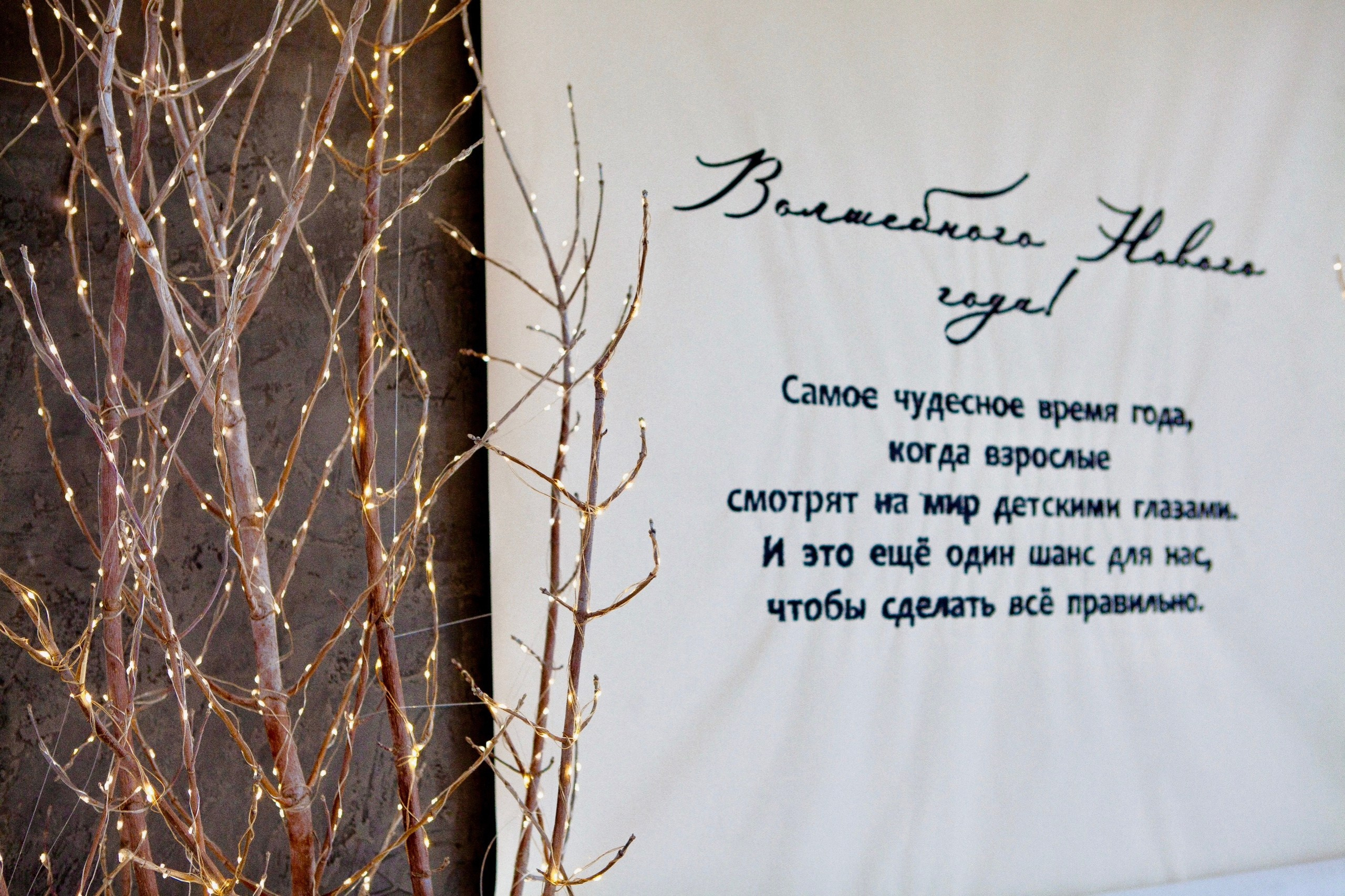 Лучшие фотостудии Липецка. Свадебный и семейный фотограф в Липецке Натали Бриз