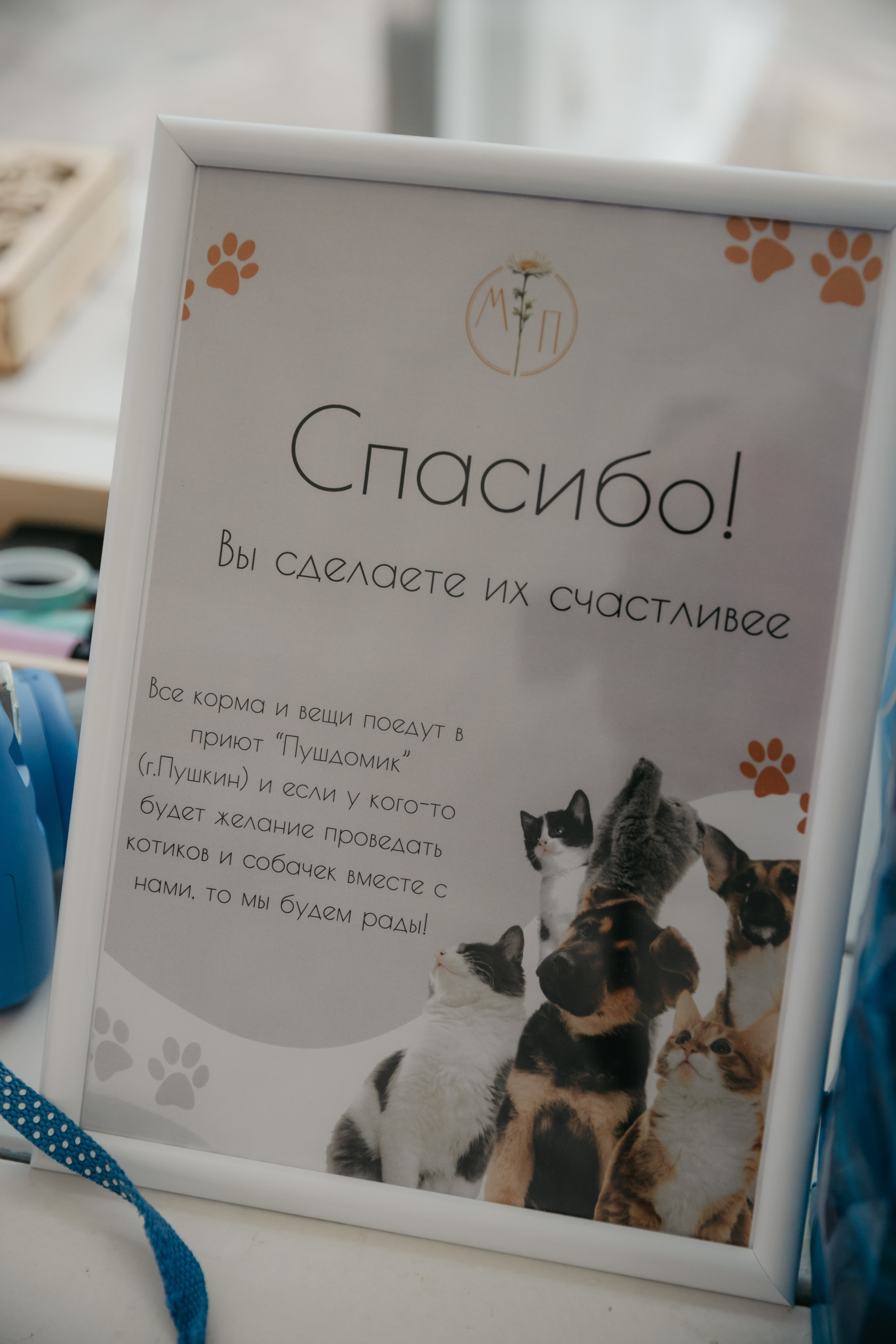 Полина и Марат. Фотограф в Санкт-Петербурге Ангелина Волкова