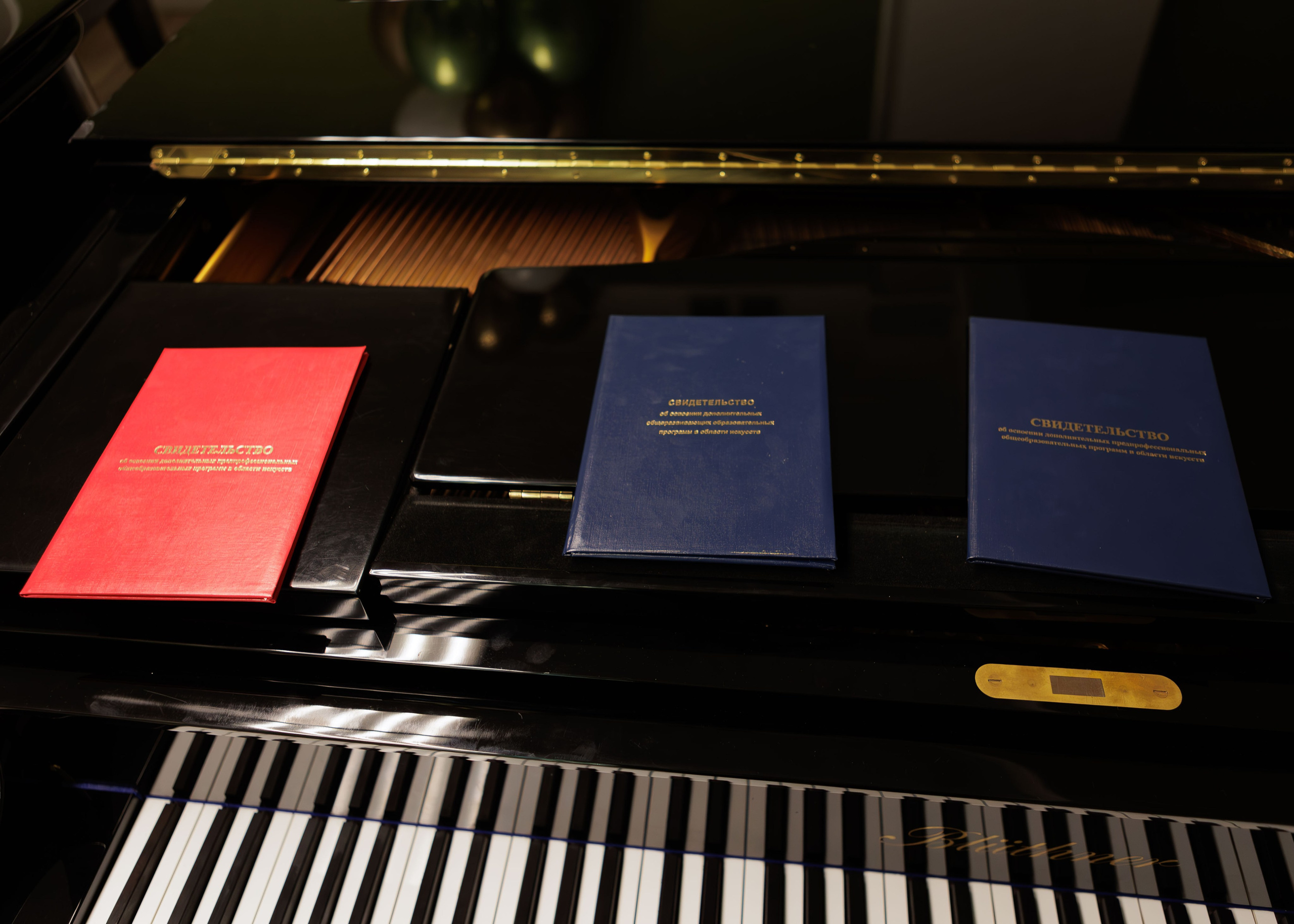 Вручение дипломов в Детской музыкальной школе имени Н. П. Будашкина. Выпускные альбомы и школьный фотограф в Подольске, Троицке, Щербинке, Москве и Московской области