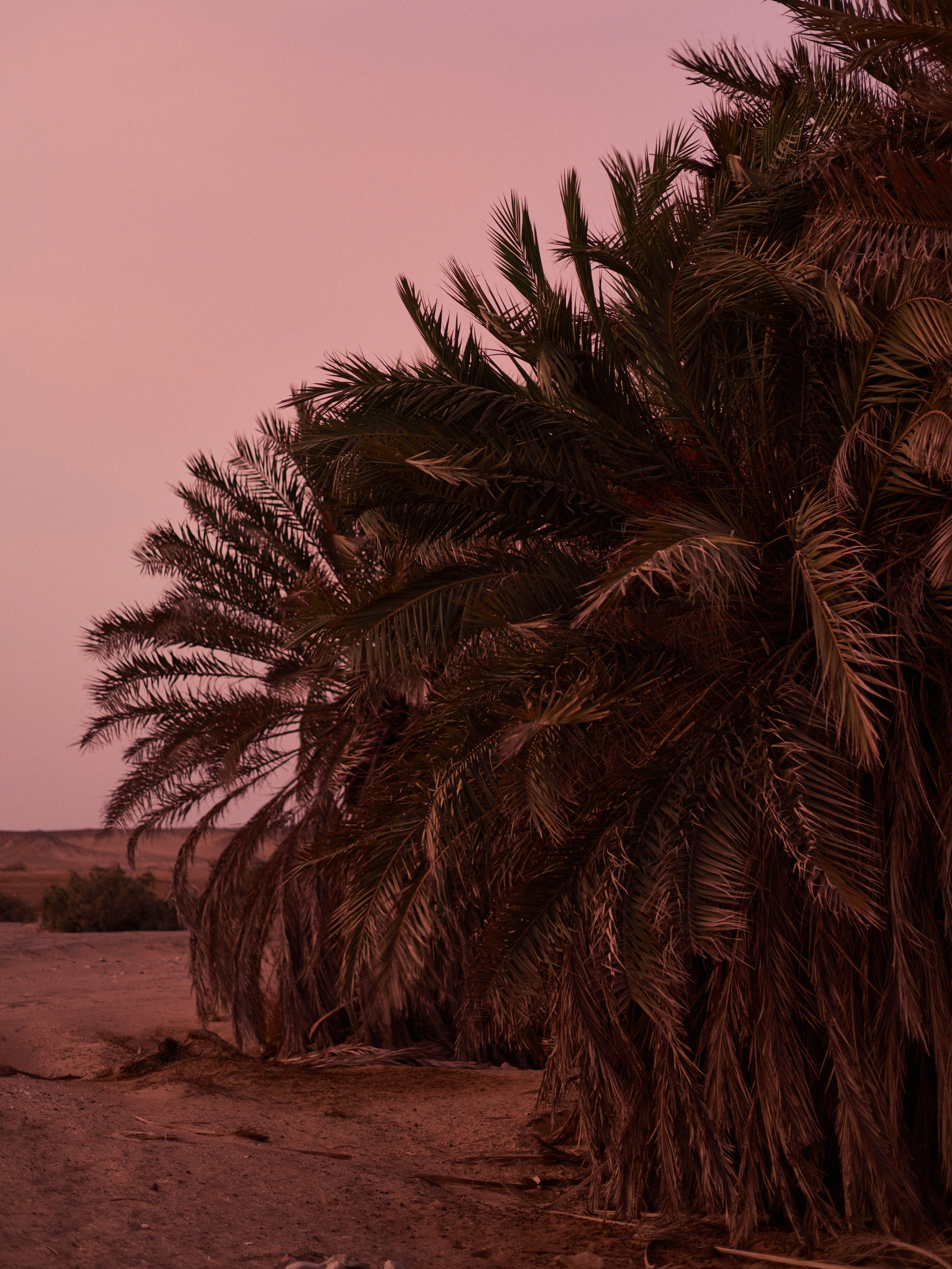 Другое 3. Jorgis Talè — photographer, kind person, teacher of arts and other mag