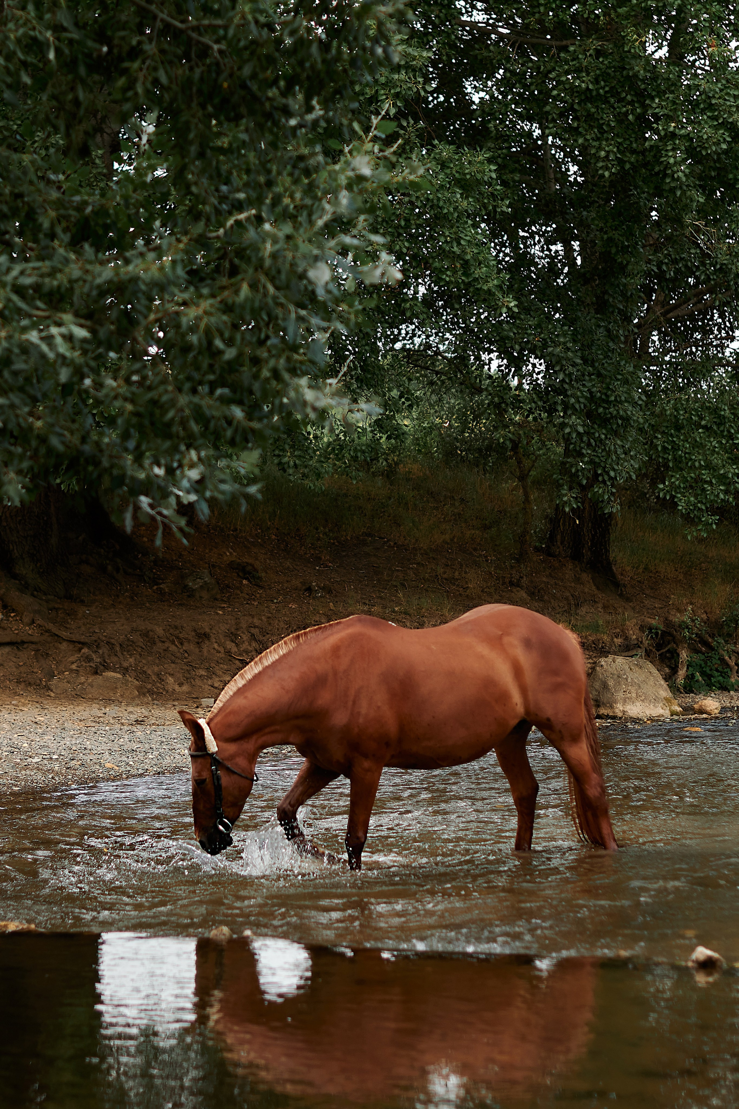 Касандра. Фотограф в Севастополе