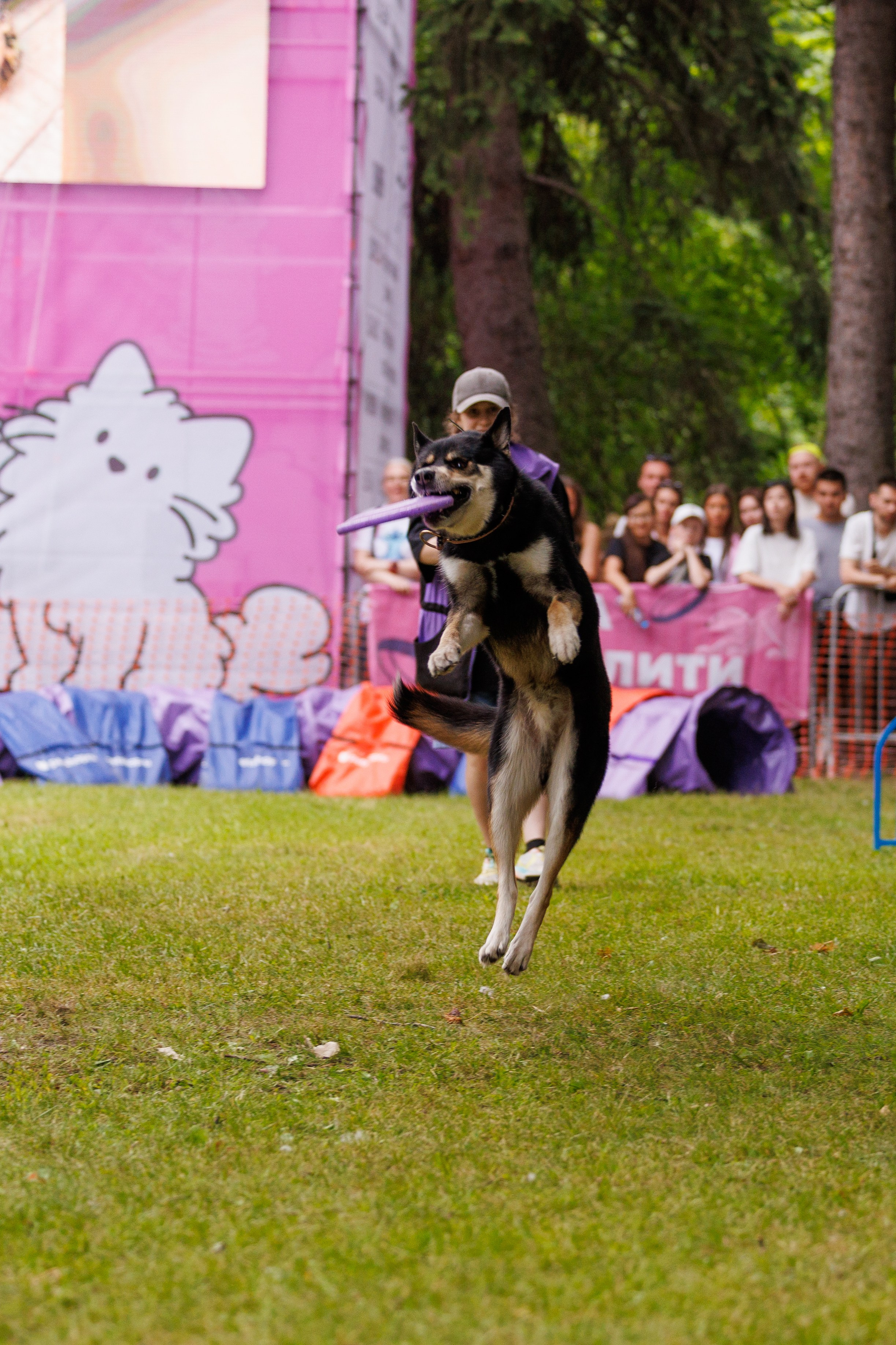 PetShopDays2026. Фотограф Александр Заломаев