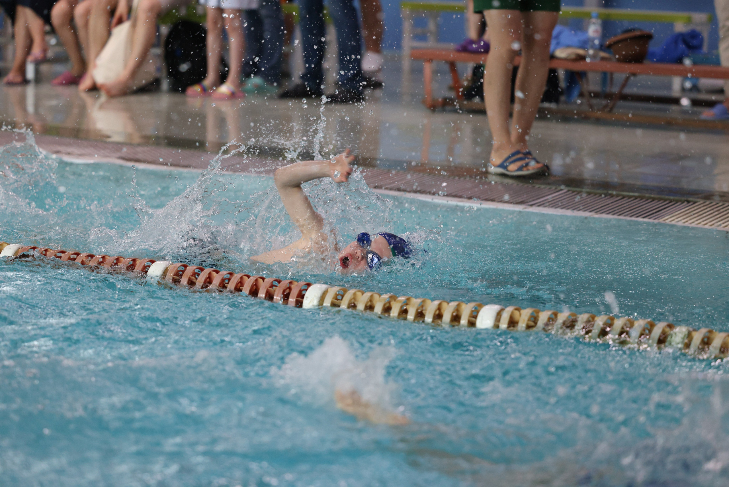 Веселый дельфин. Плавание. Дети 8-9 лет. Фотограф Александр Заломаев
