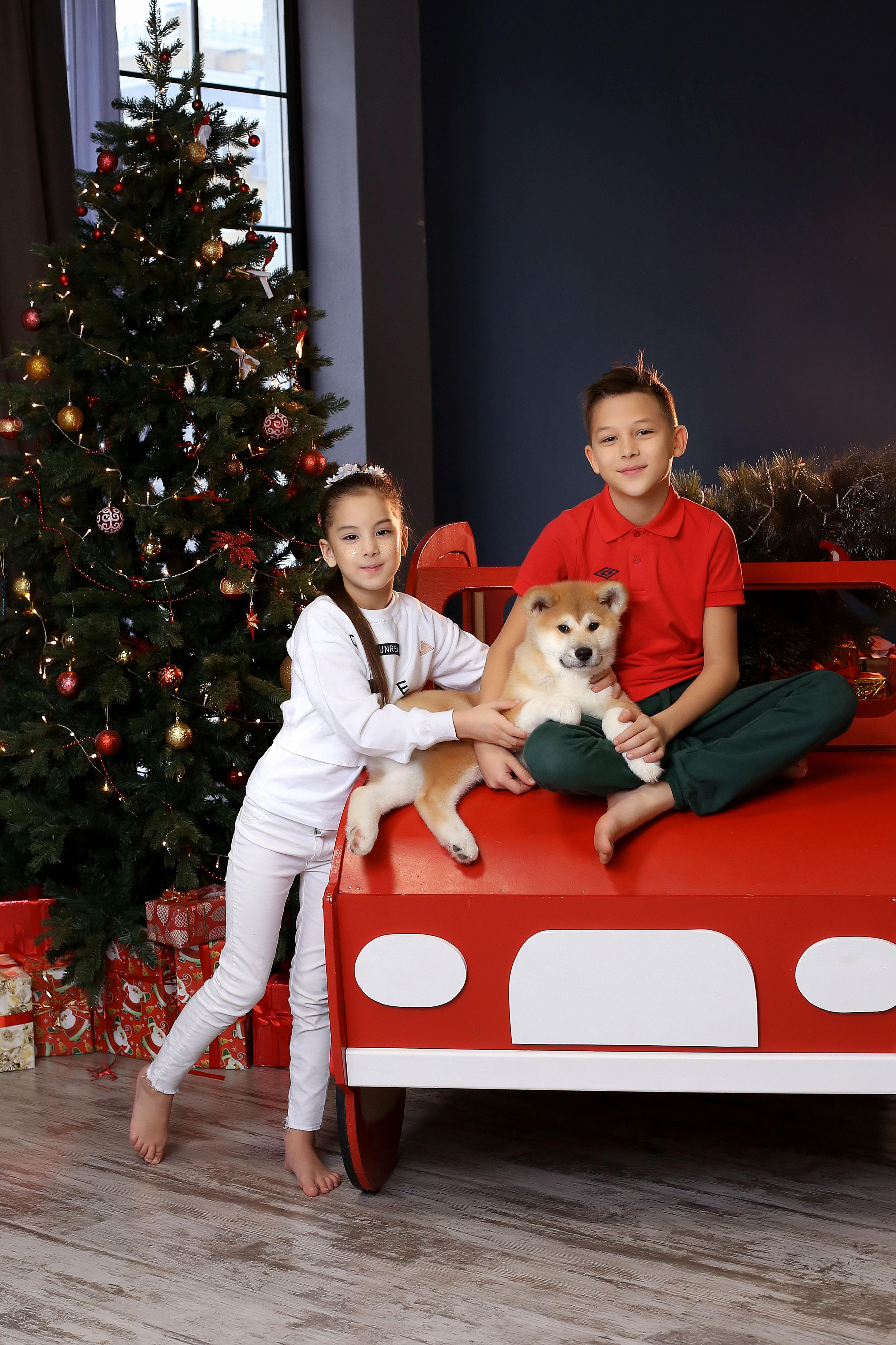 Семейная фотосессия в студии. Семейный и детский фотограф в Волгограде Серкибаева Ирина