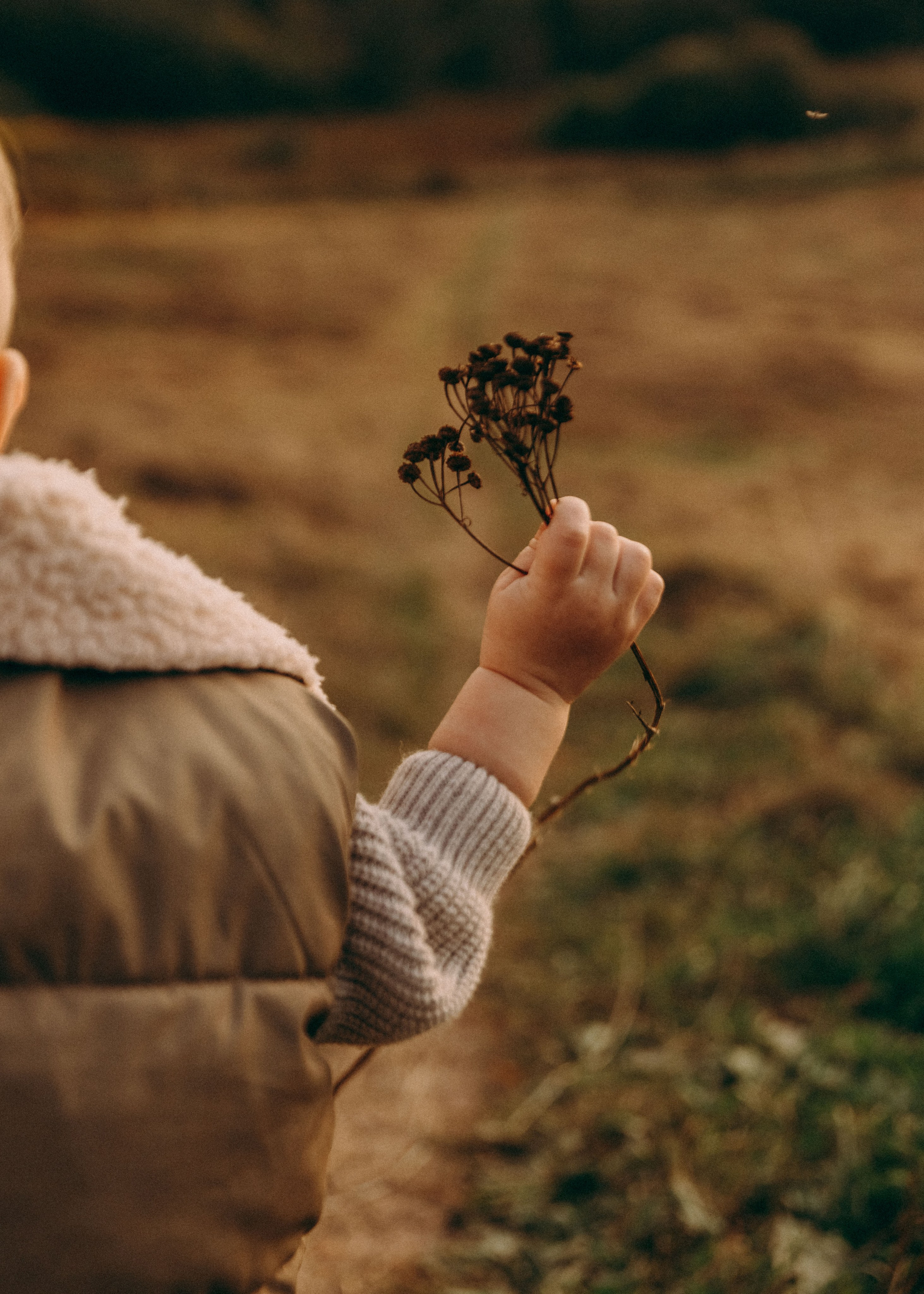 Настя и Рома. Семейный фотограф В Москве Александра Дейкун