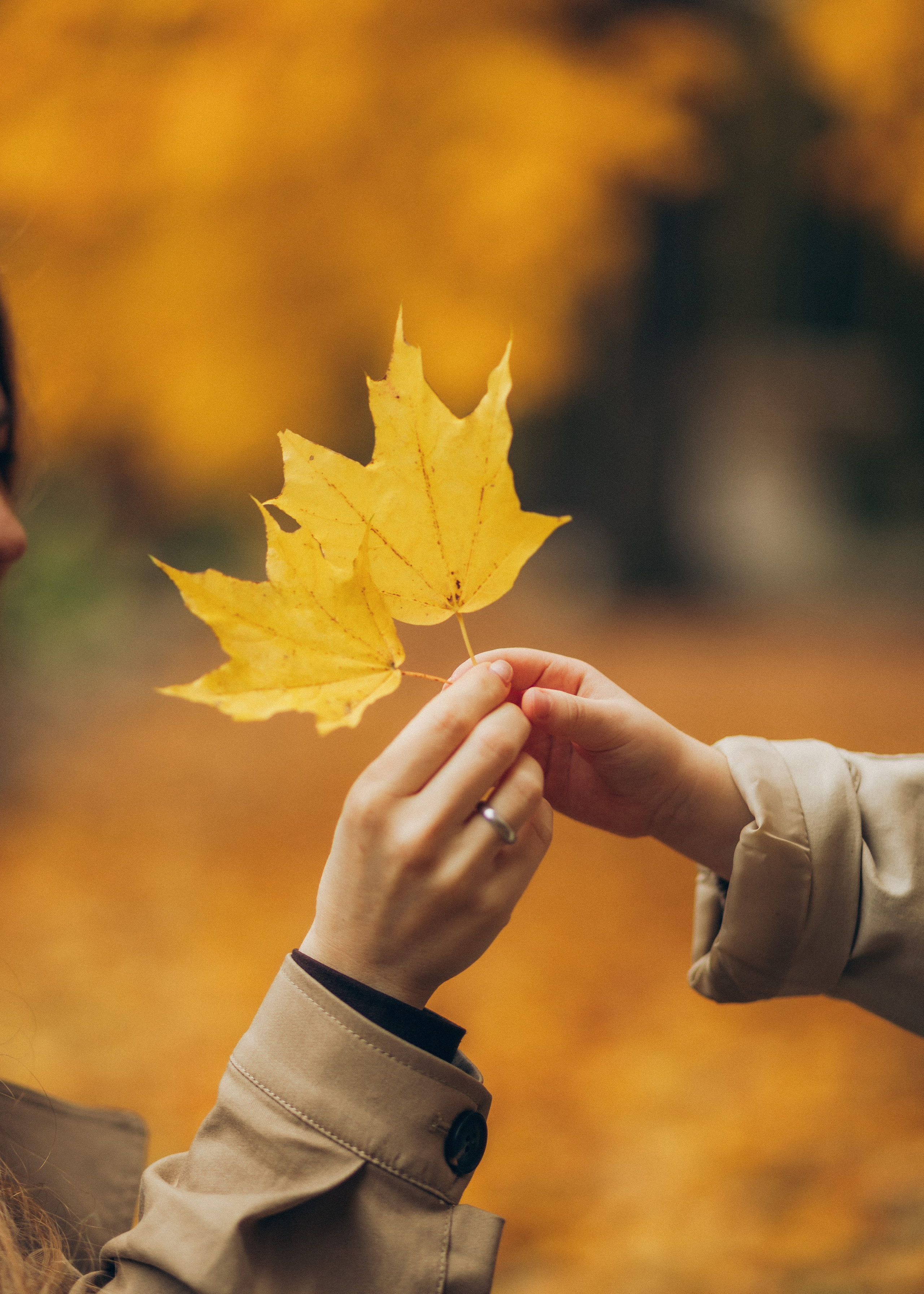 Настя и Алиса. Семейный фотограф В Москве Александра Дейкун