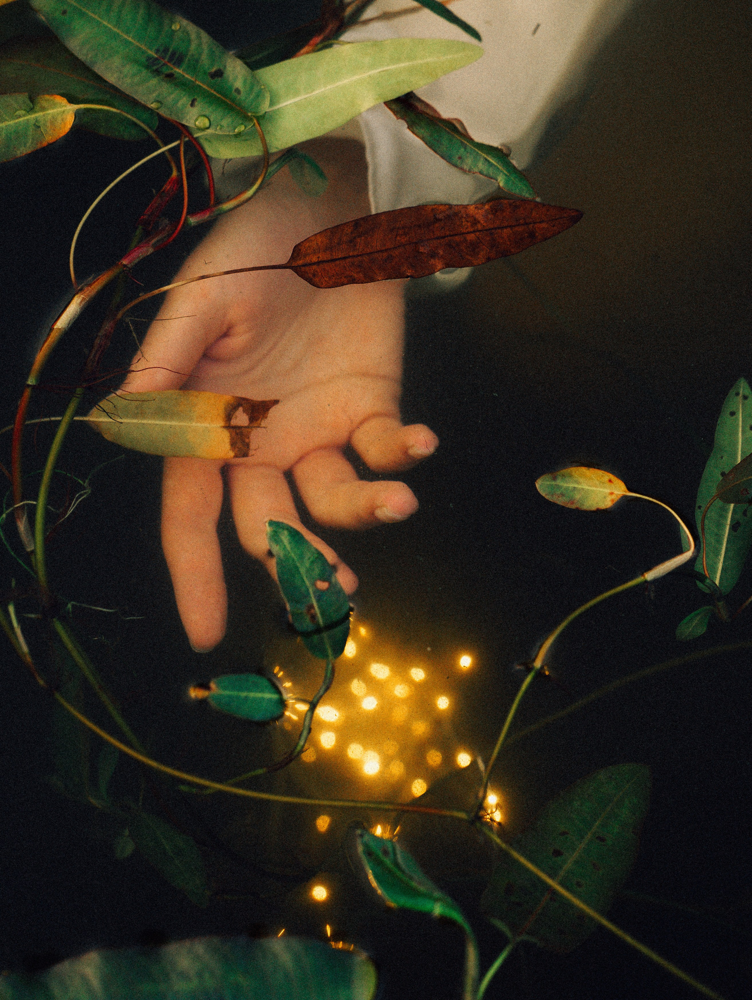 Ксения. Елена Симонова