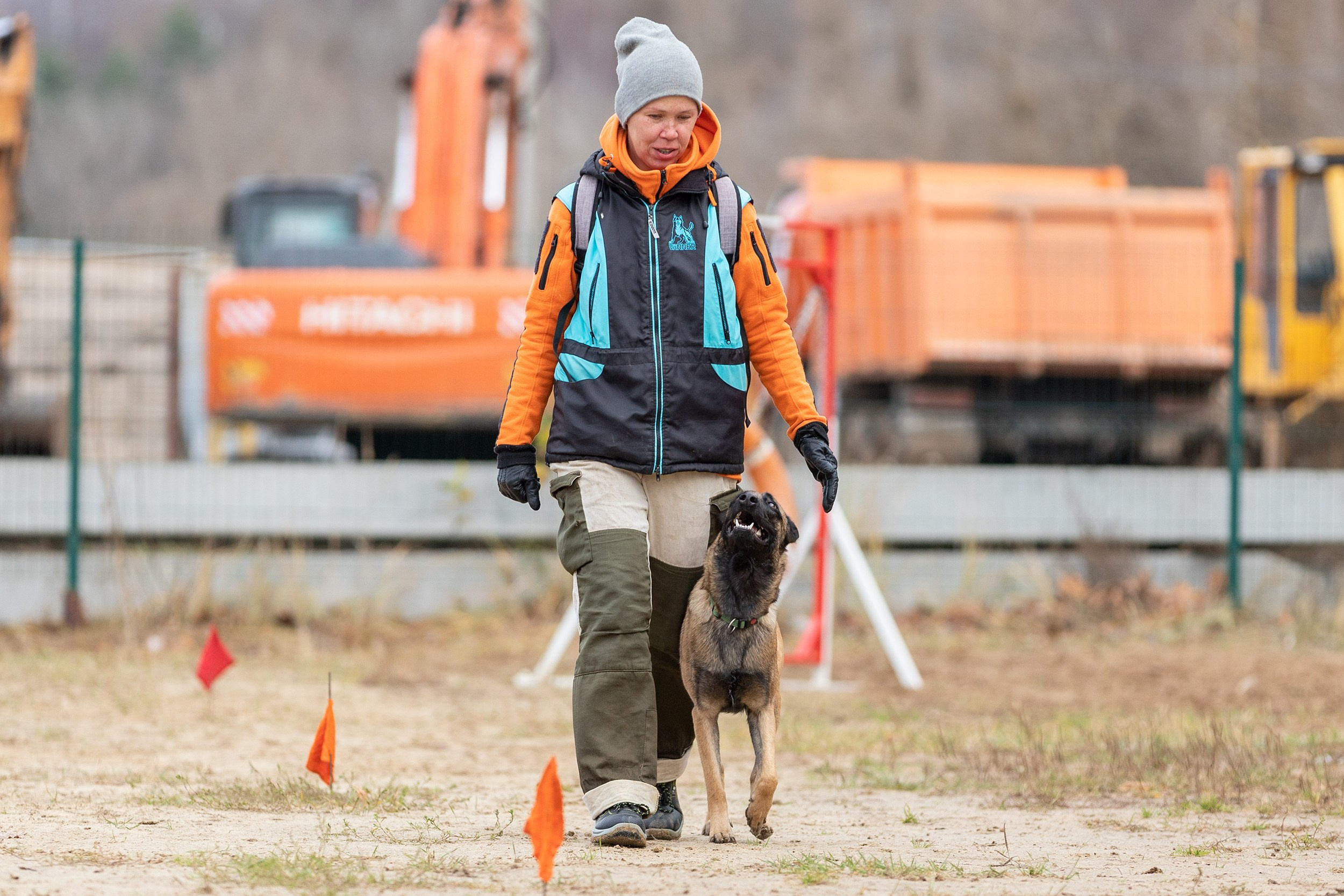 Вера и Чейз на экзамене ОКД. Фотограф-анималист в Калуге Мария Шерскова