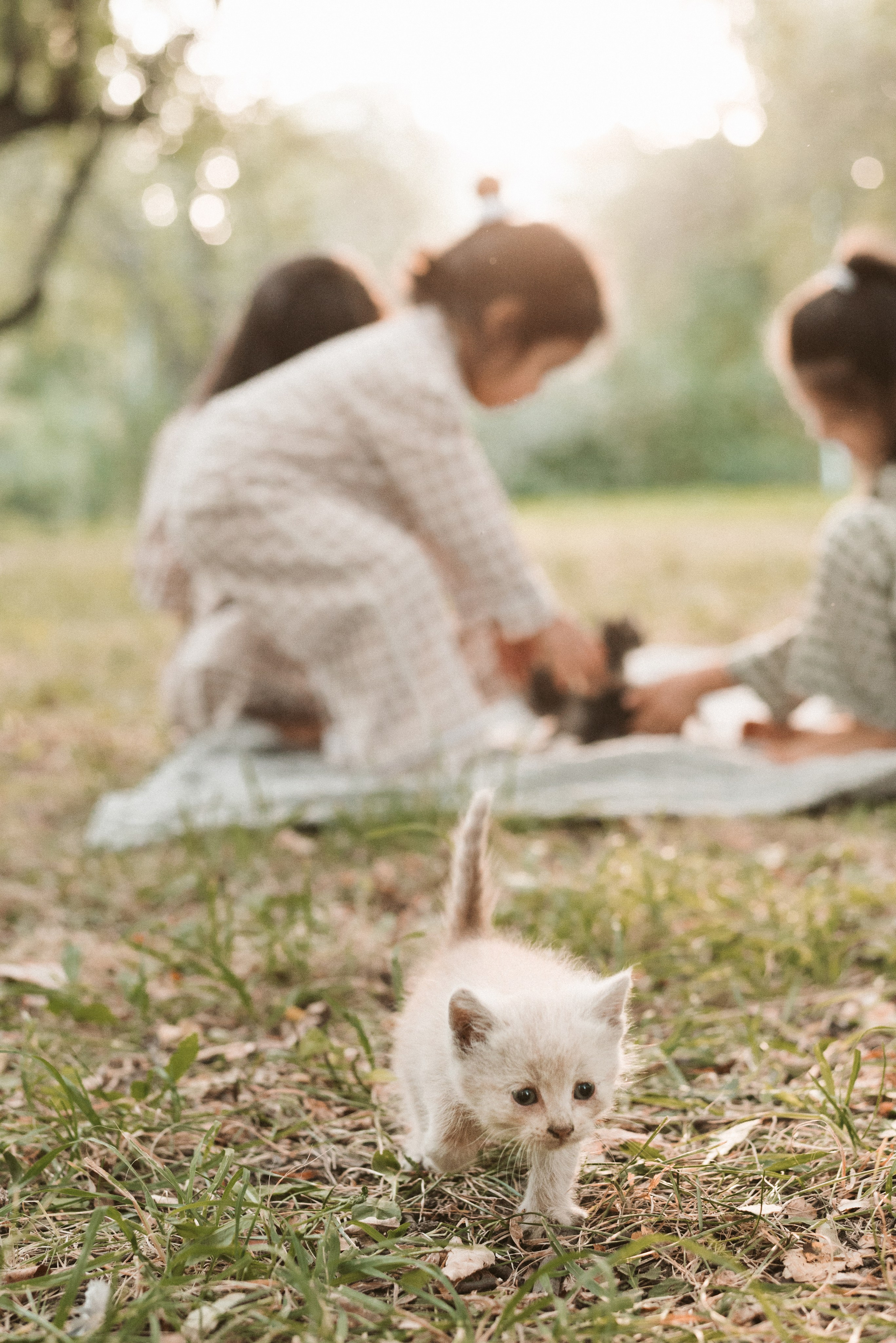 Uma Avaz Muslima Alia & Tommye. Natalia Finch Photography — Family, Kids & Pet Photographer in Chicago, IL