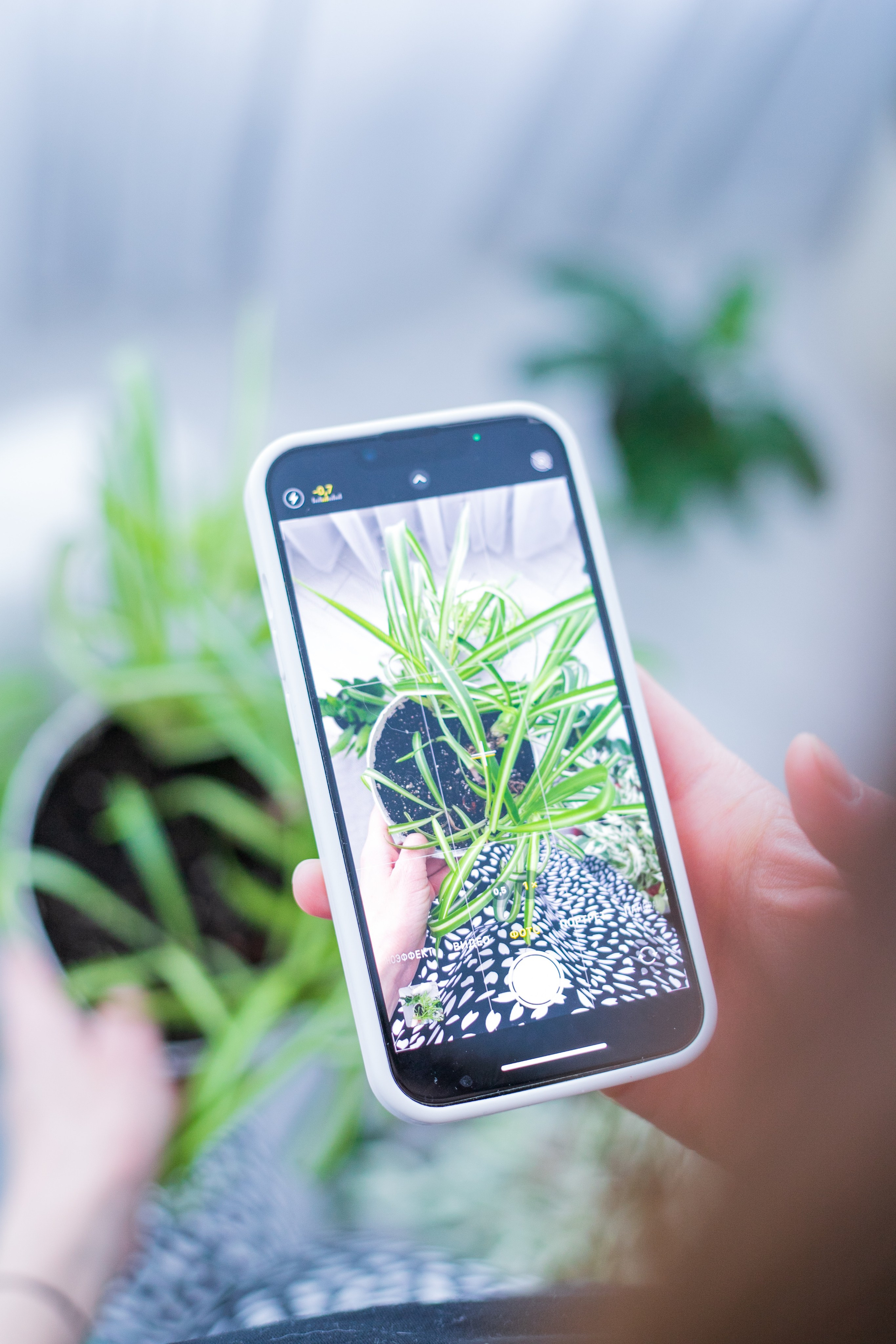 Женский портрет. Семейный и детский фотограф в г. Кемерово