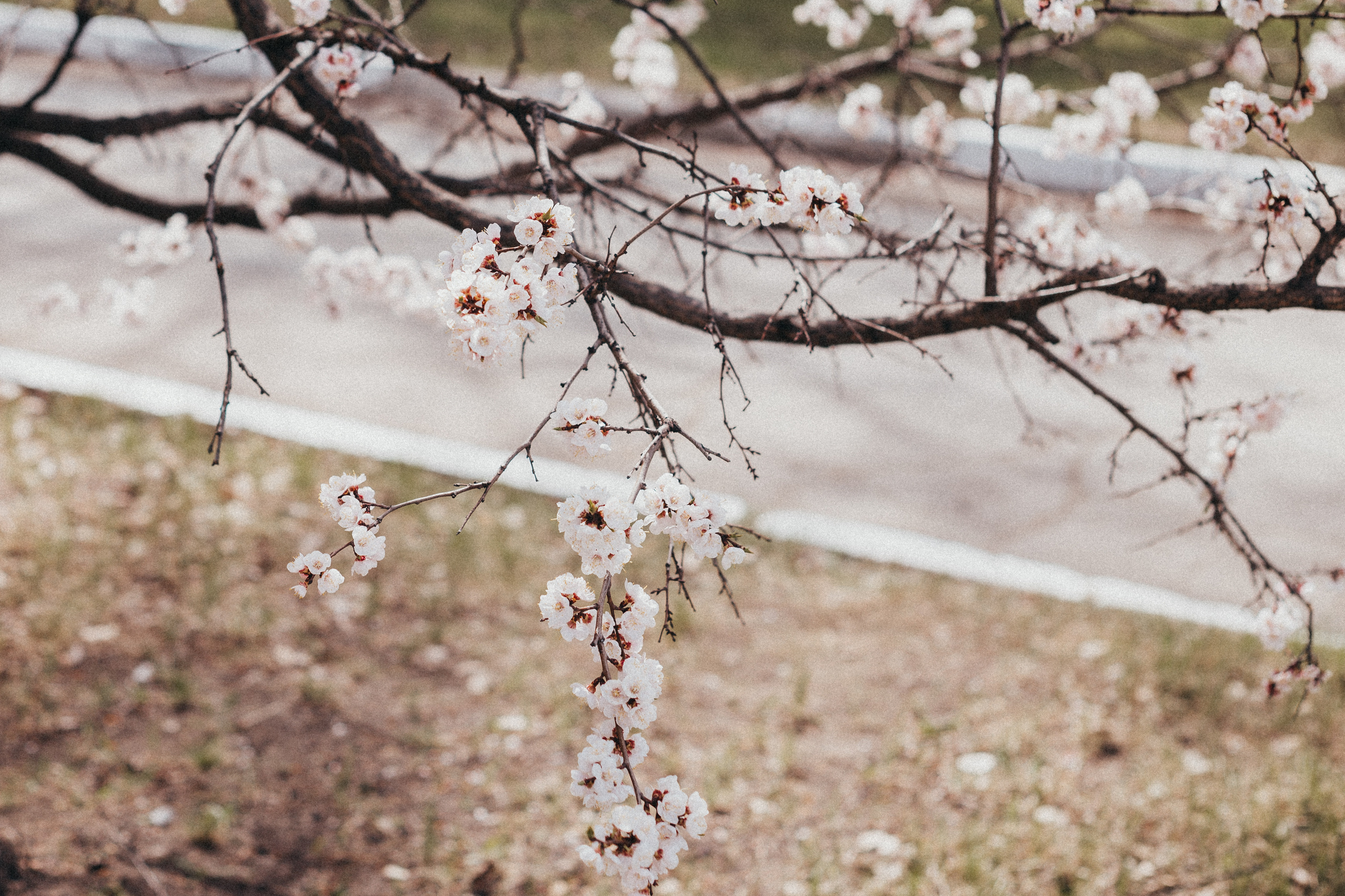 🤍. Екатерина Королева. Фотограф. Хабаровск