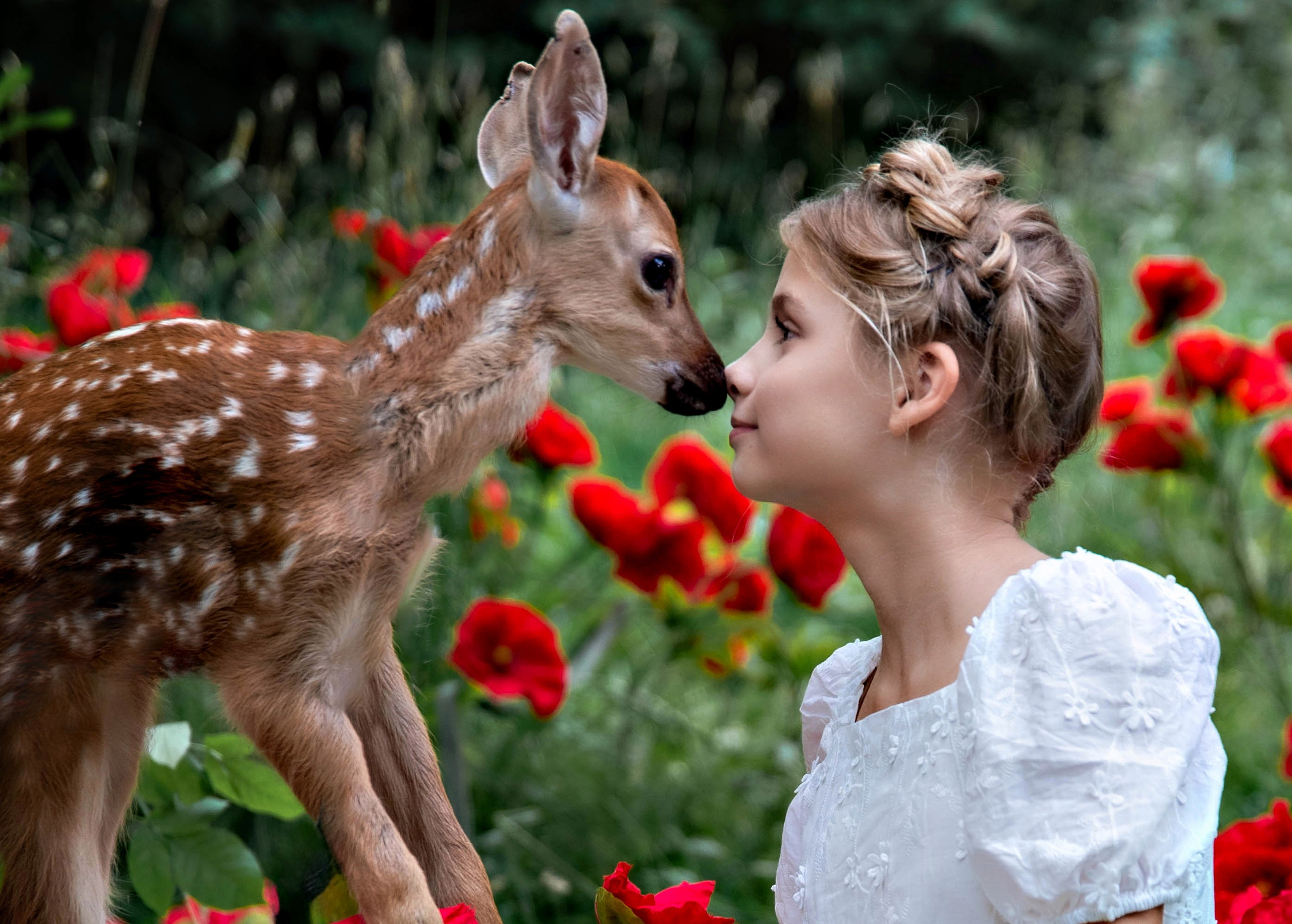 Съёмка с животными