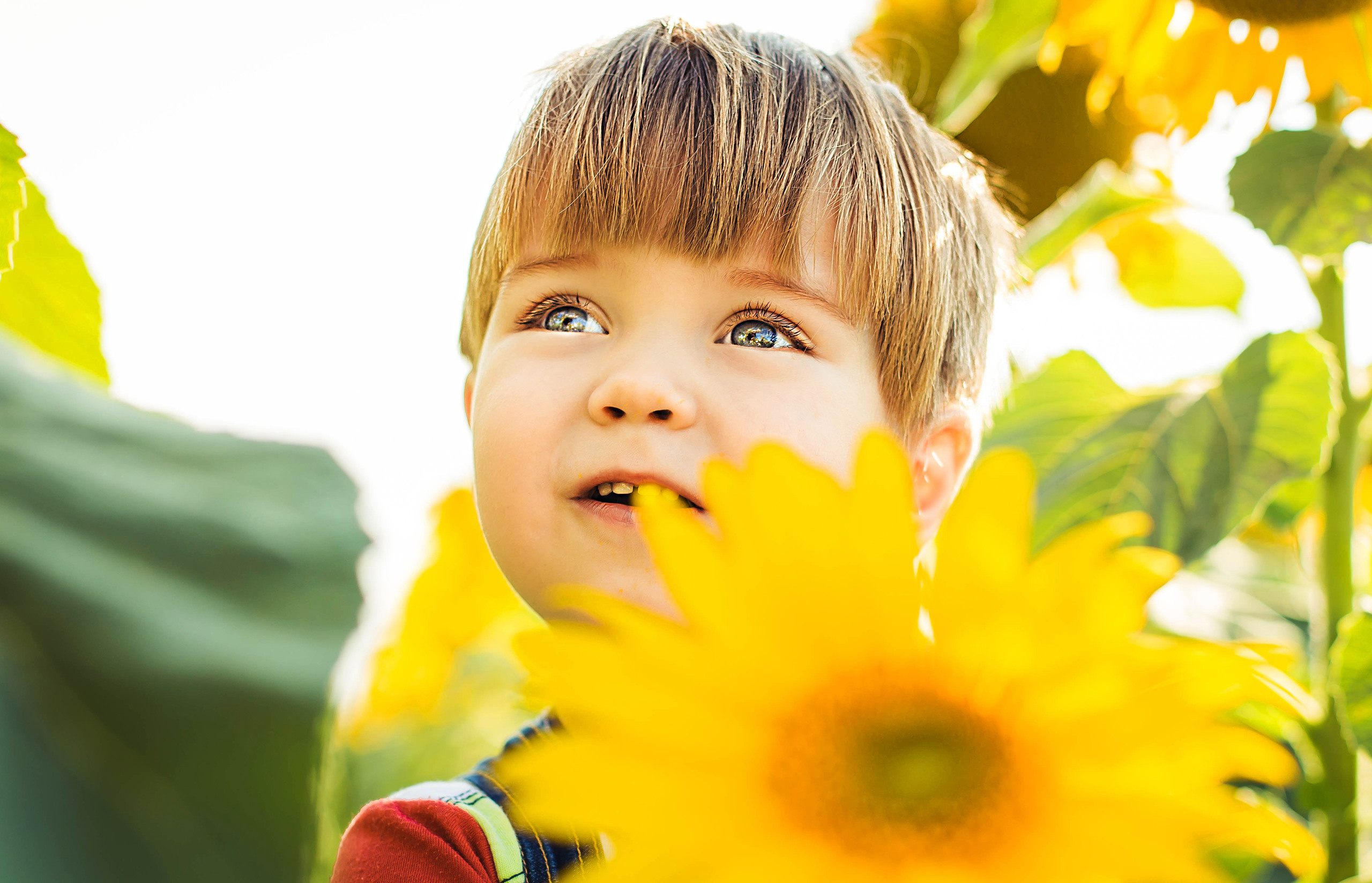 Детские фотографии. Семейный и детский фотограф Алена Печерица в Тамбове