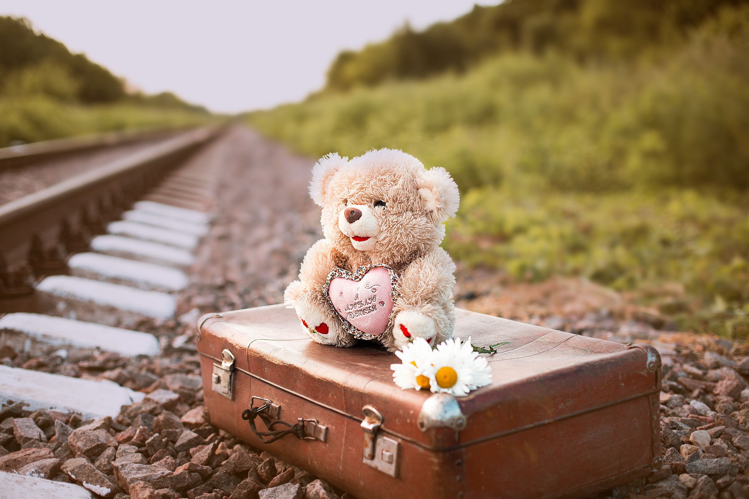 Детские фотографии. Семейный и детский фотограф Алена Печерица в Тамбове