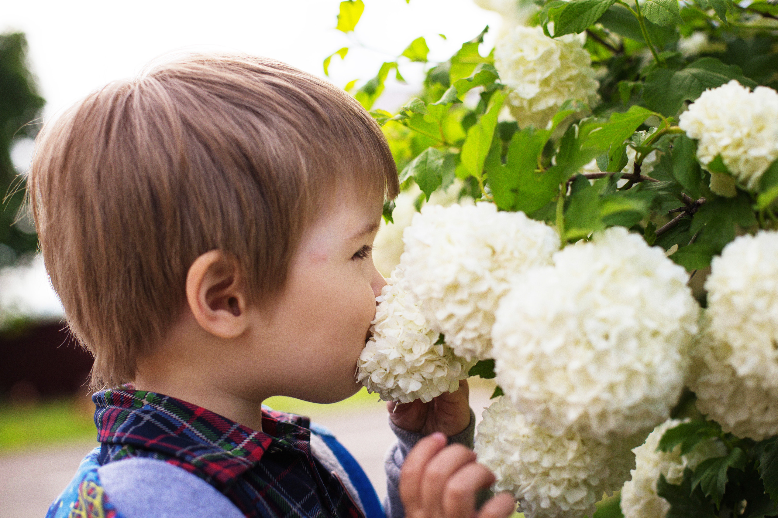 Детские фотографии. Семейный и детский фотограф Алена Печерица в Тамбове