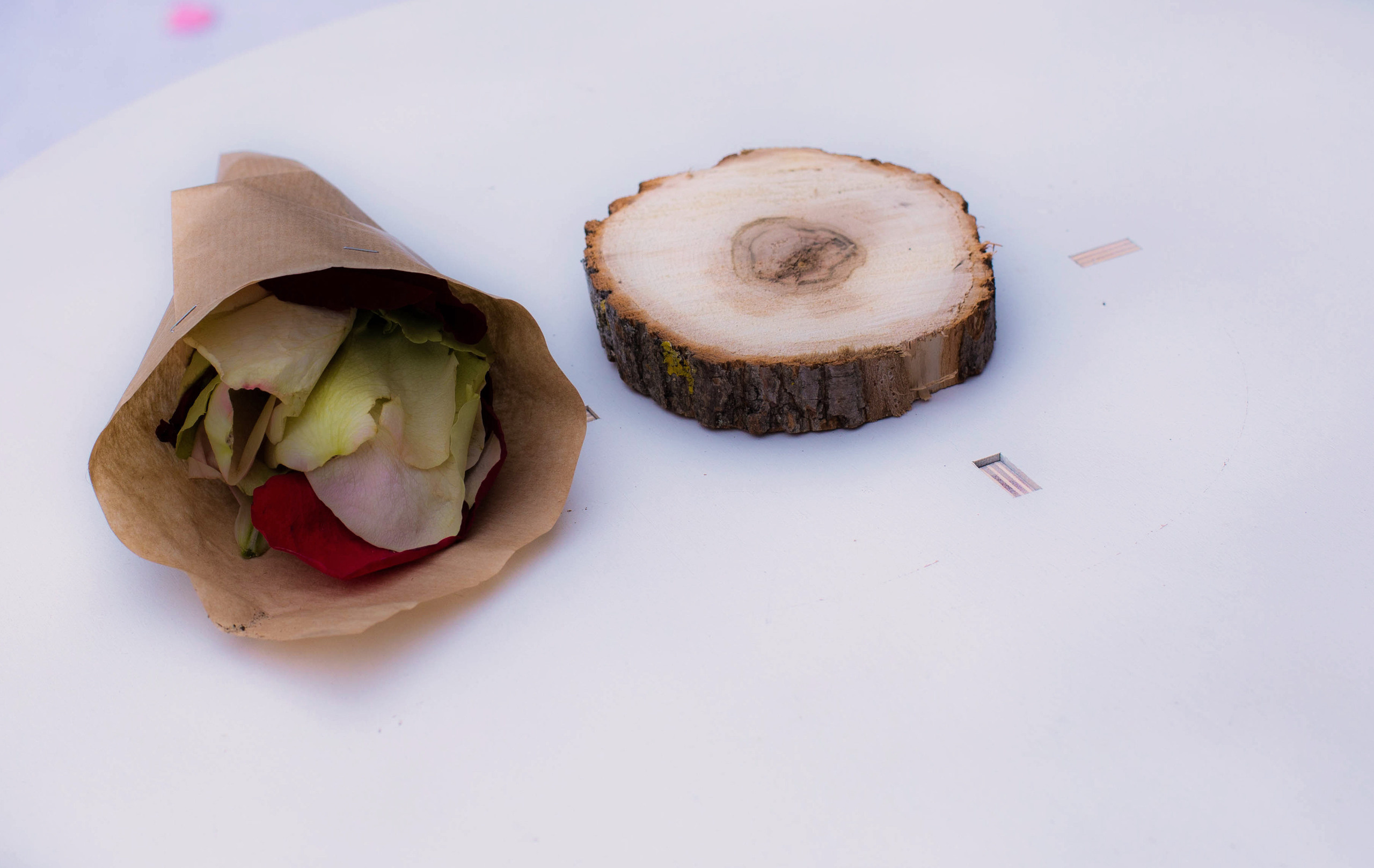 Свадьбы. Семейный и детский фотограф Алена Печерица в Тамбове