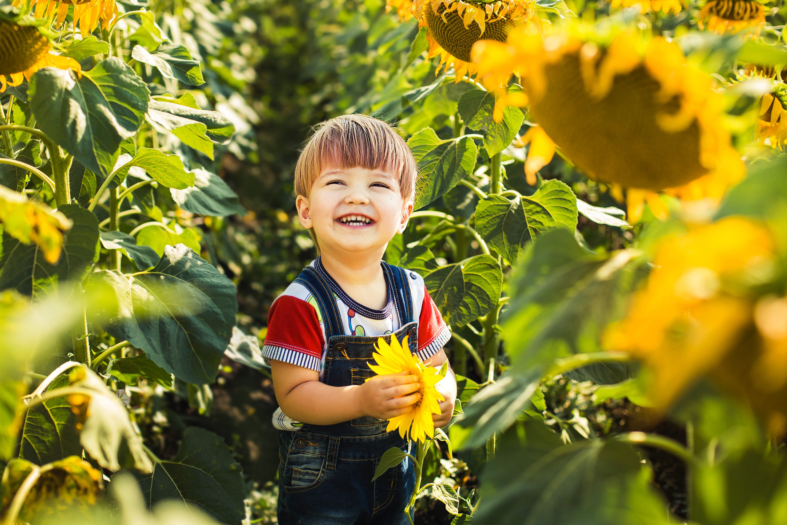 Детские фотографии. Семейный и детский фотограф Алена Печерица в Тамбове