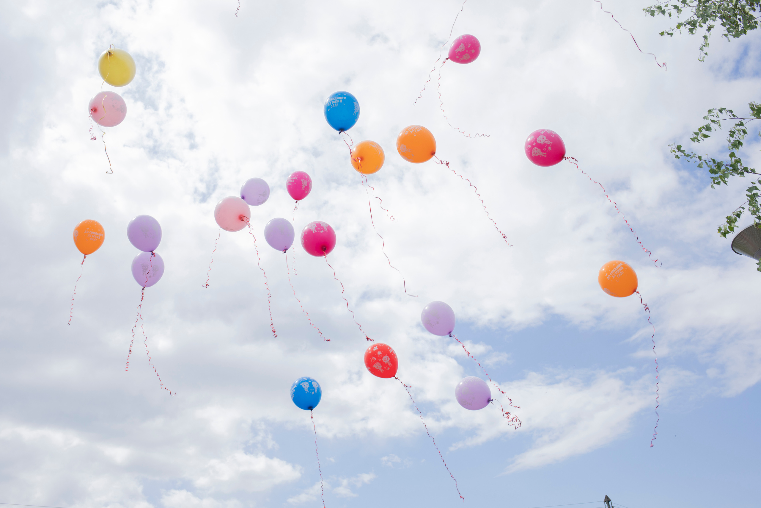 Отзывы. Семейный и детский фотограф в Никольске Наталья Лис