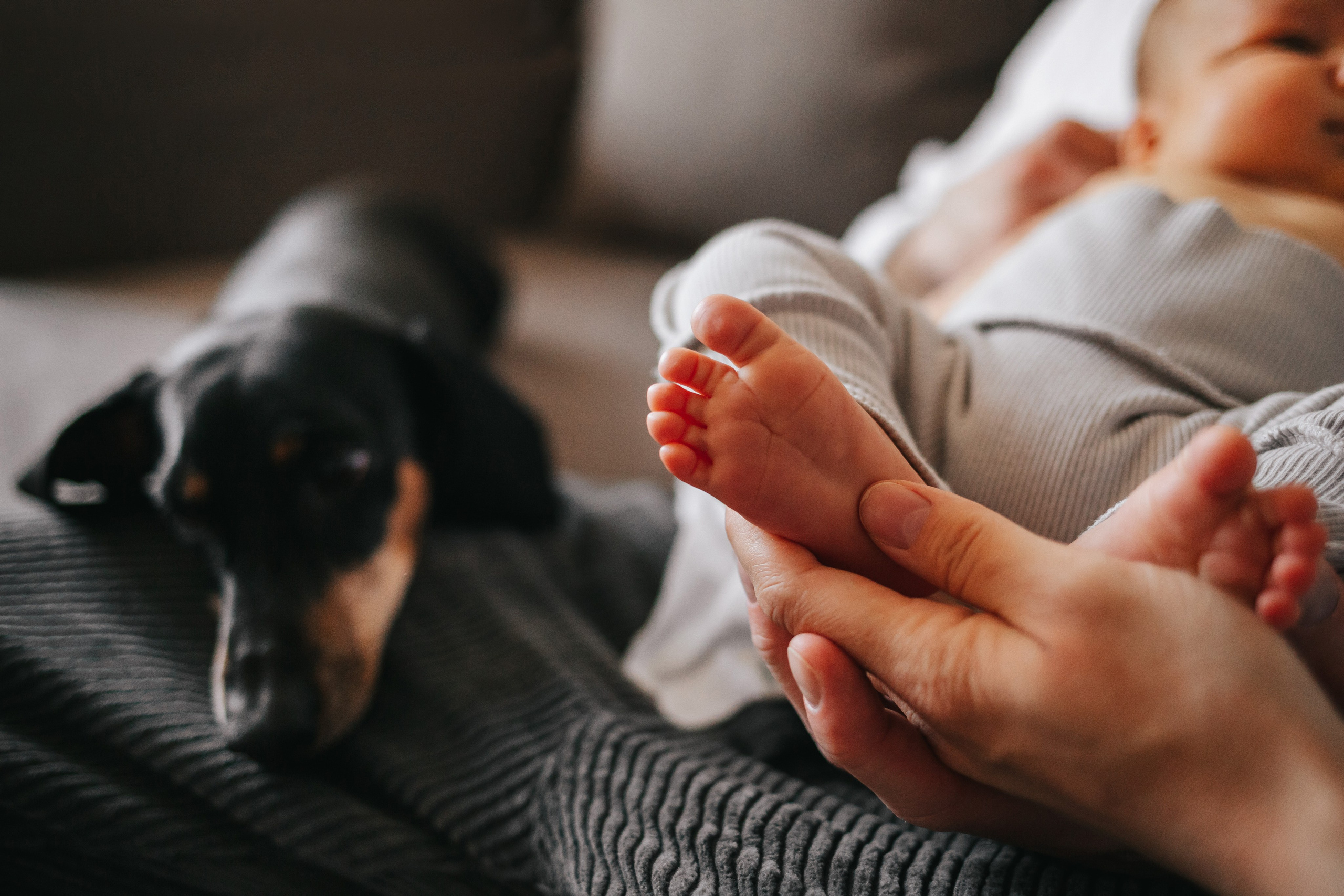 Илья, Катя и Лев. Семейный lifestyle фотограф в Санкт-Петербурге Людмила Пахомова