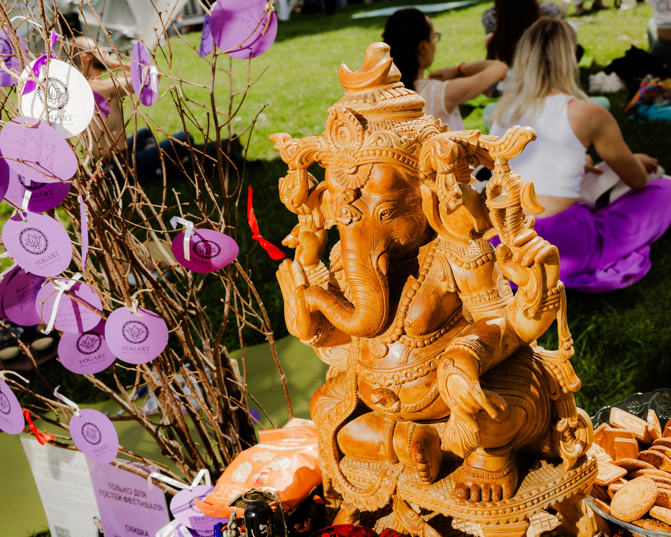 ДЕНЬ МЕДИТАЦИИ