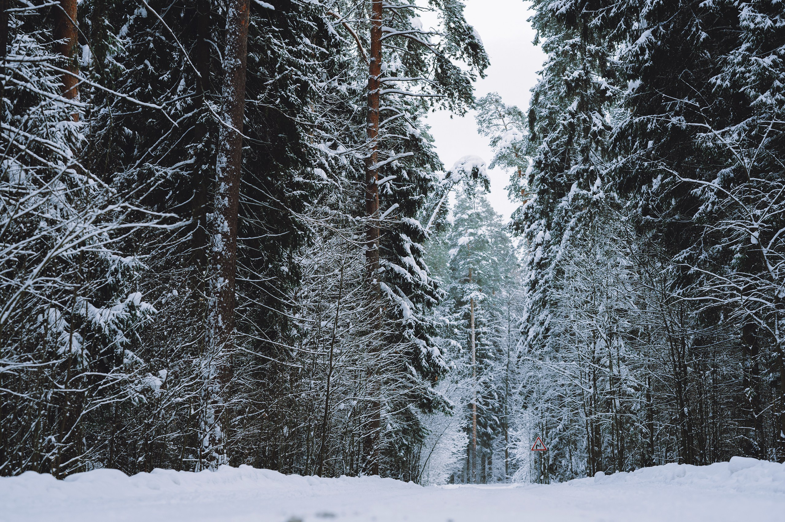 Январь. Komonev