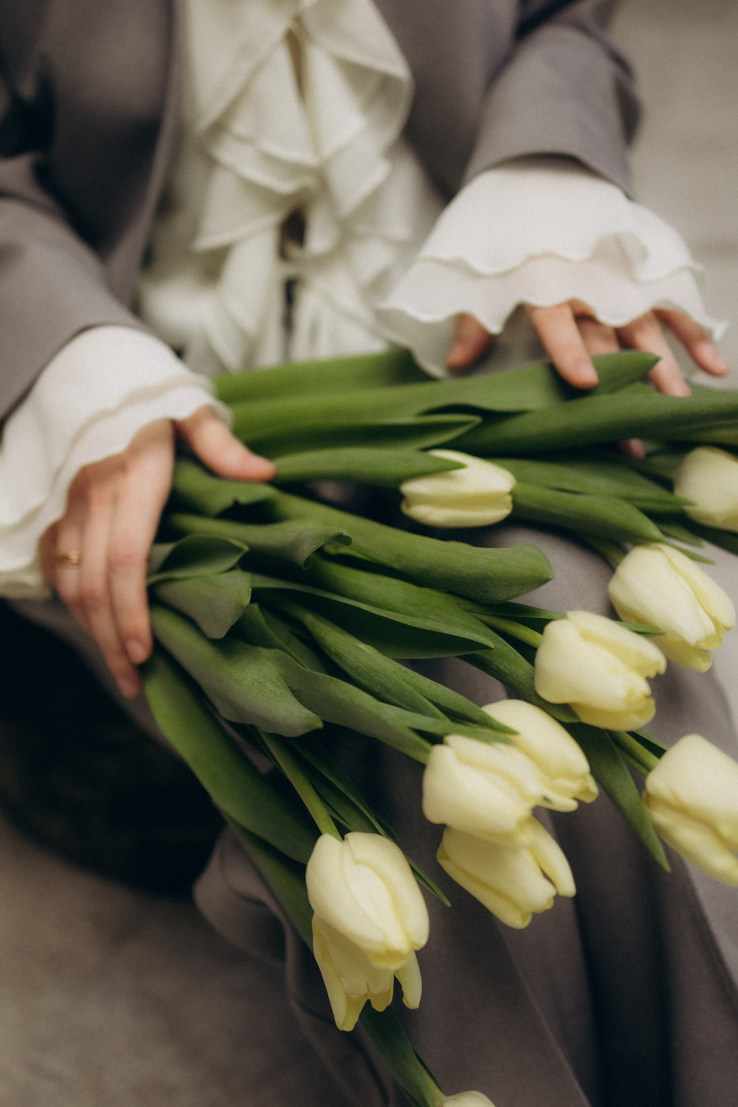 Тюльпаны. Главная