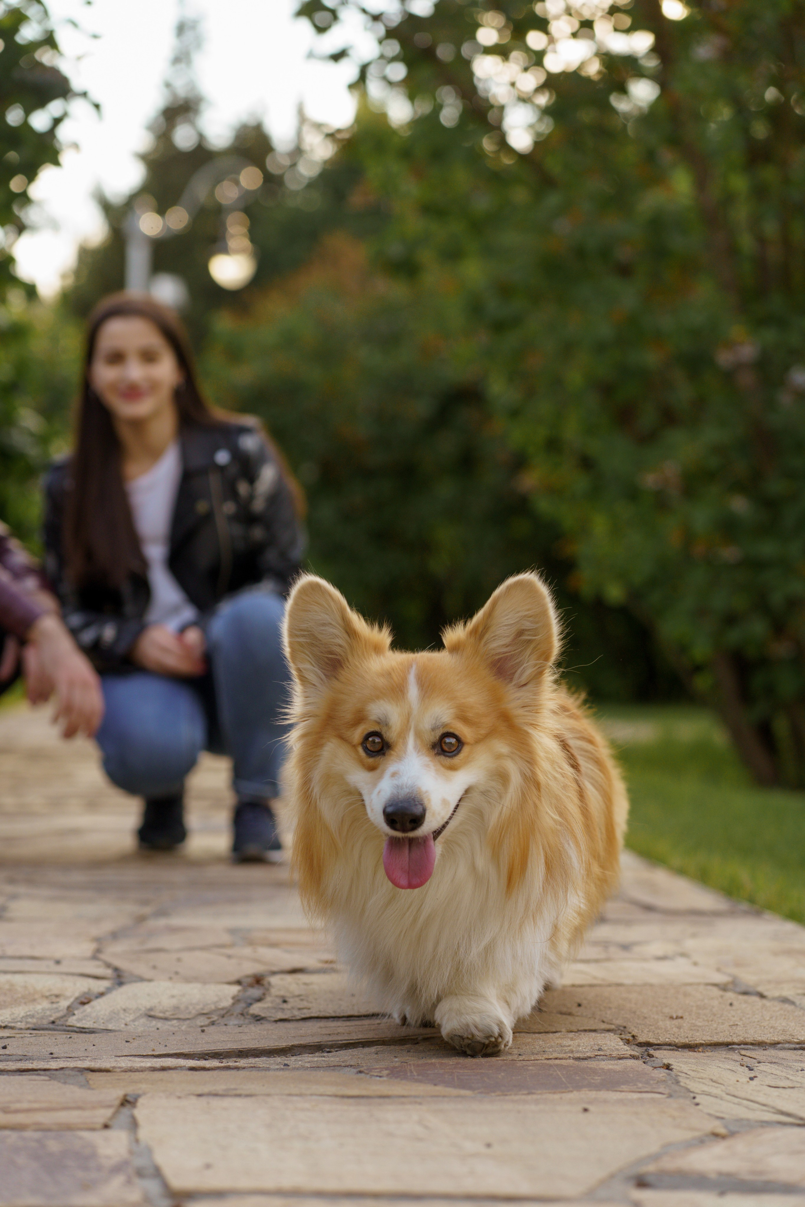 Катя, Арсений и Пух. Свадебный фотограф в Москве Анна Полушина