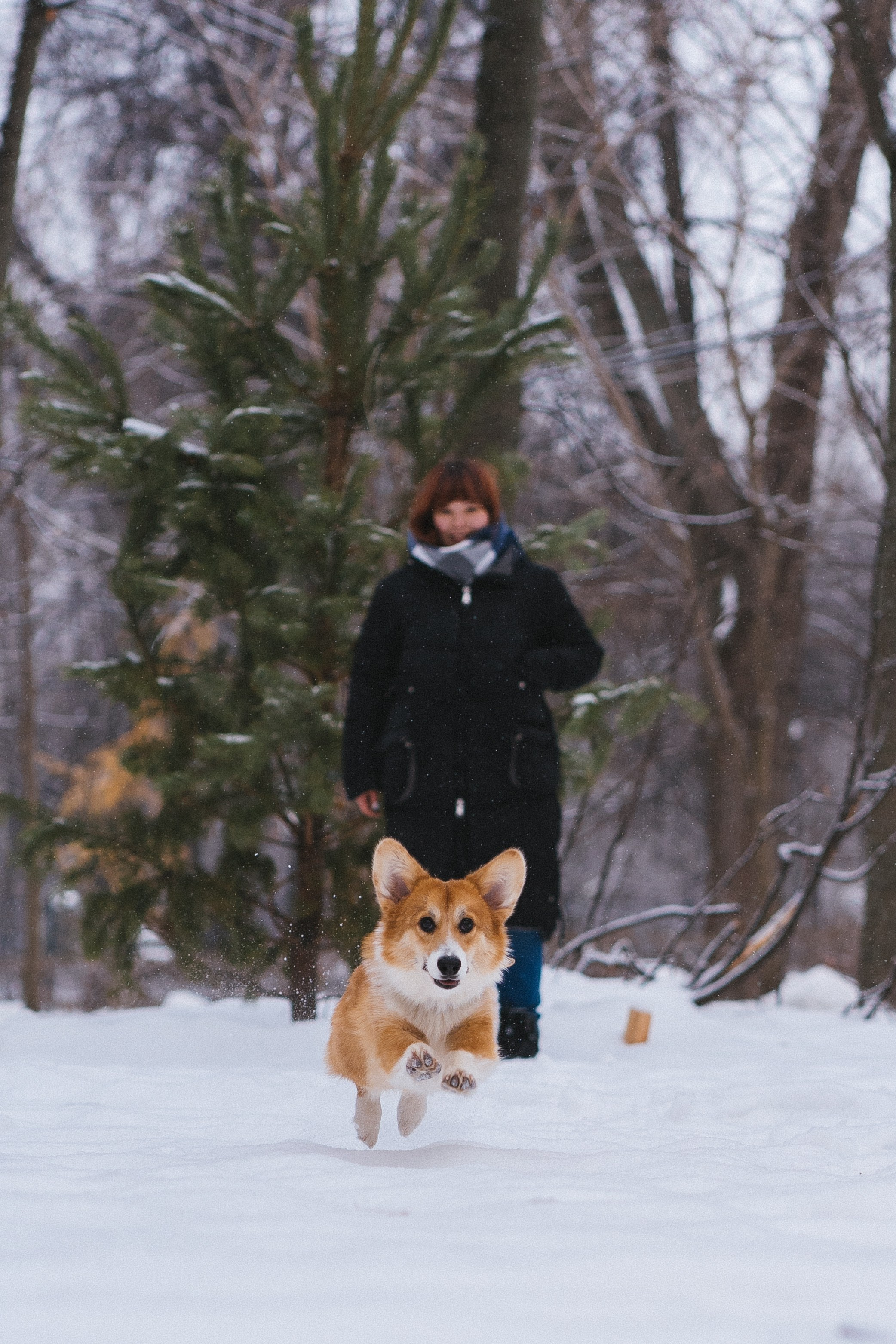 Агата и Лайк. Свадебный фотограф в Москве Анна Полушина