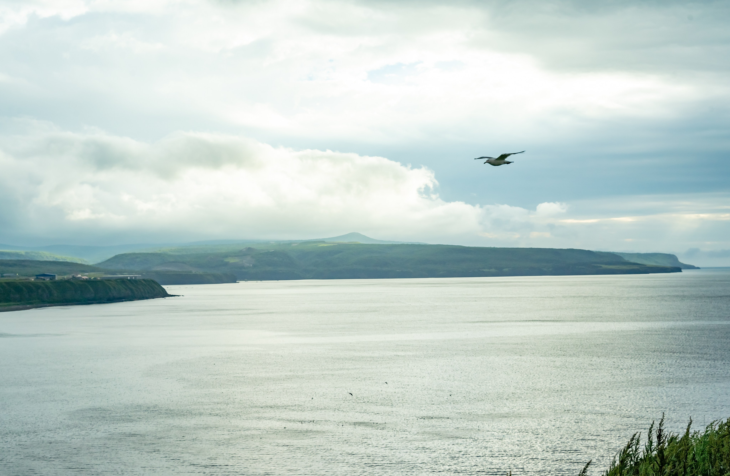 Итуруп. Семейный фотограф Варвара Сорока в городе Москве