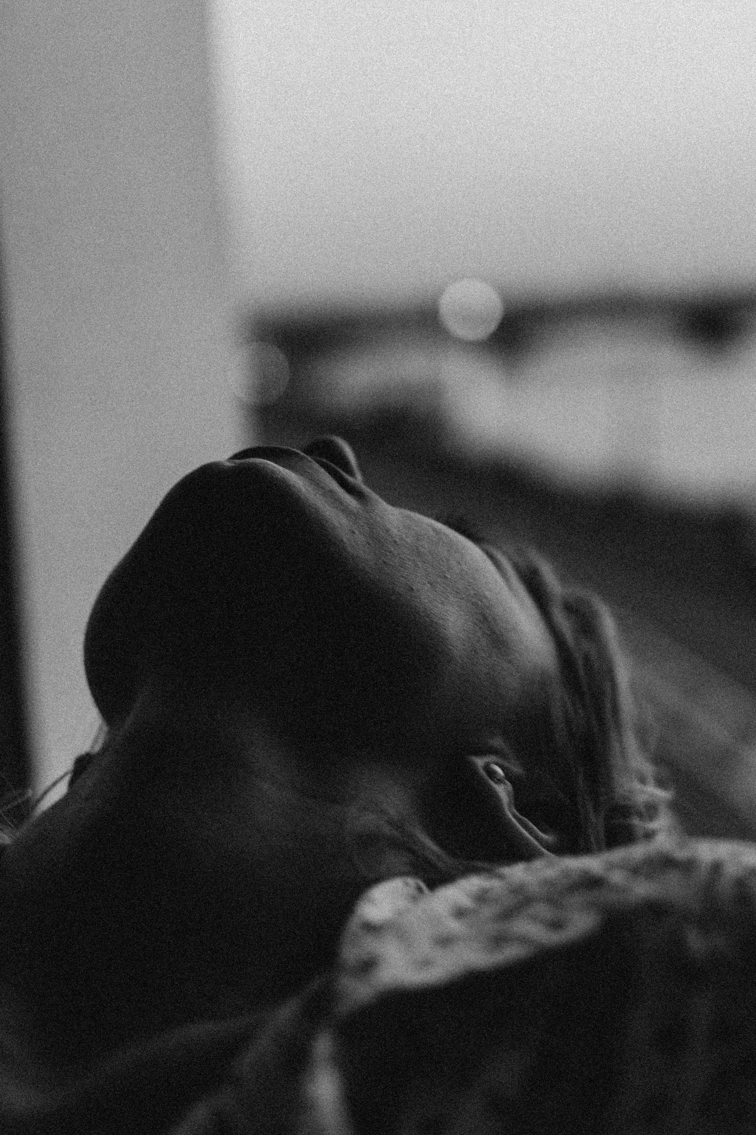 ЛЕТНИЙ ВЕЧЕР. Профессиональный фотограф, Санкт-Петербург — Виктория Богомолова