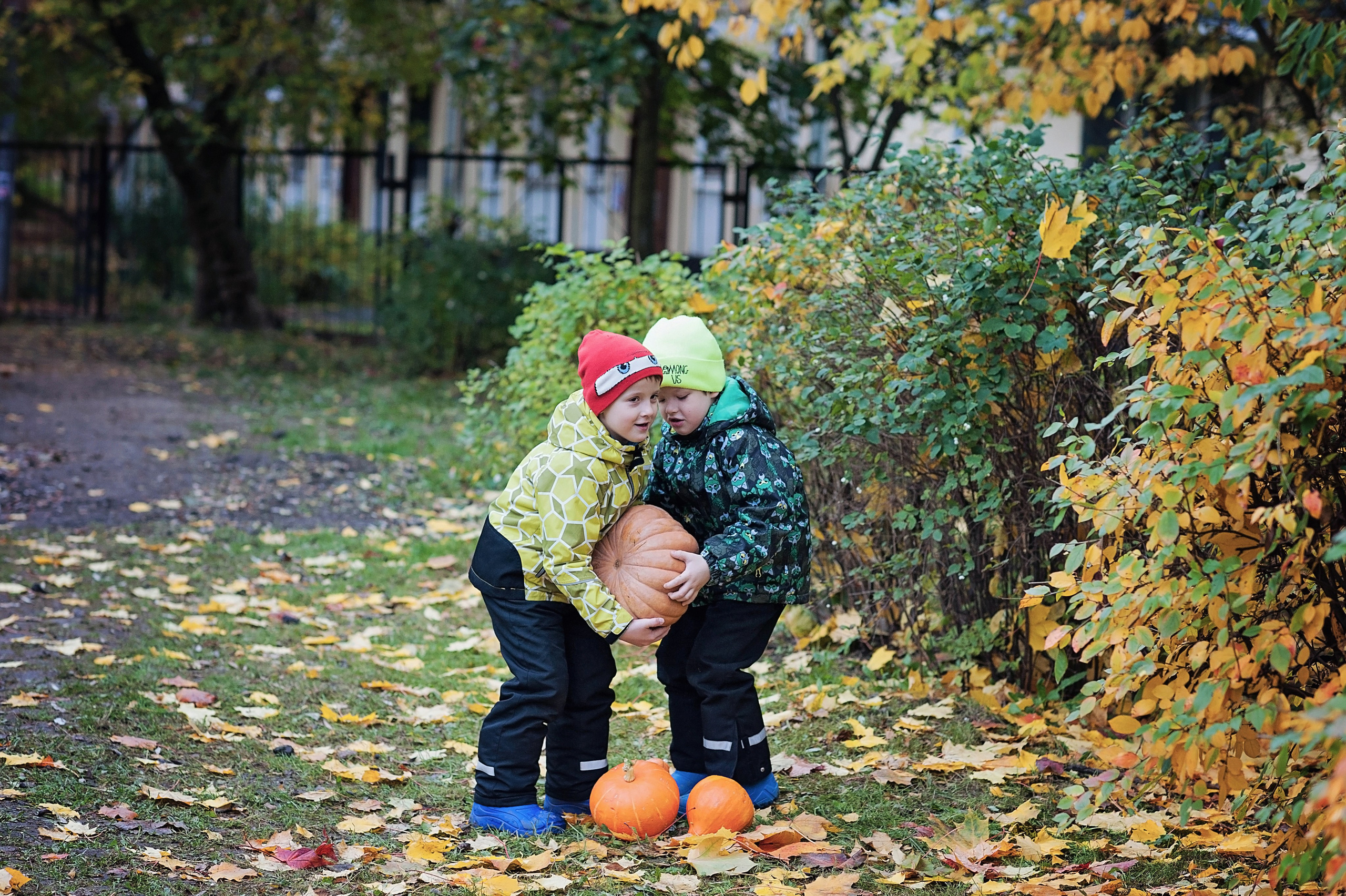 Детский сад. Фотограф Санкт-Петербург