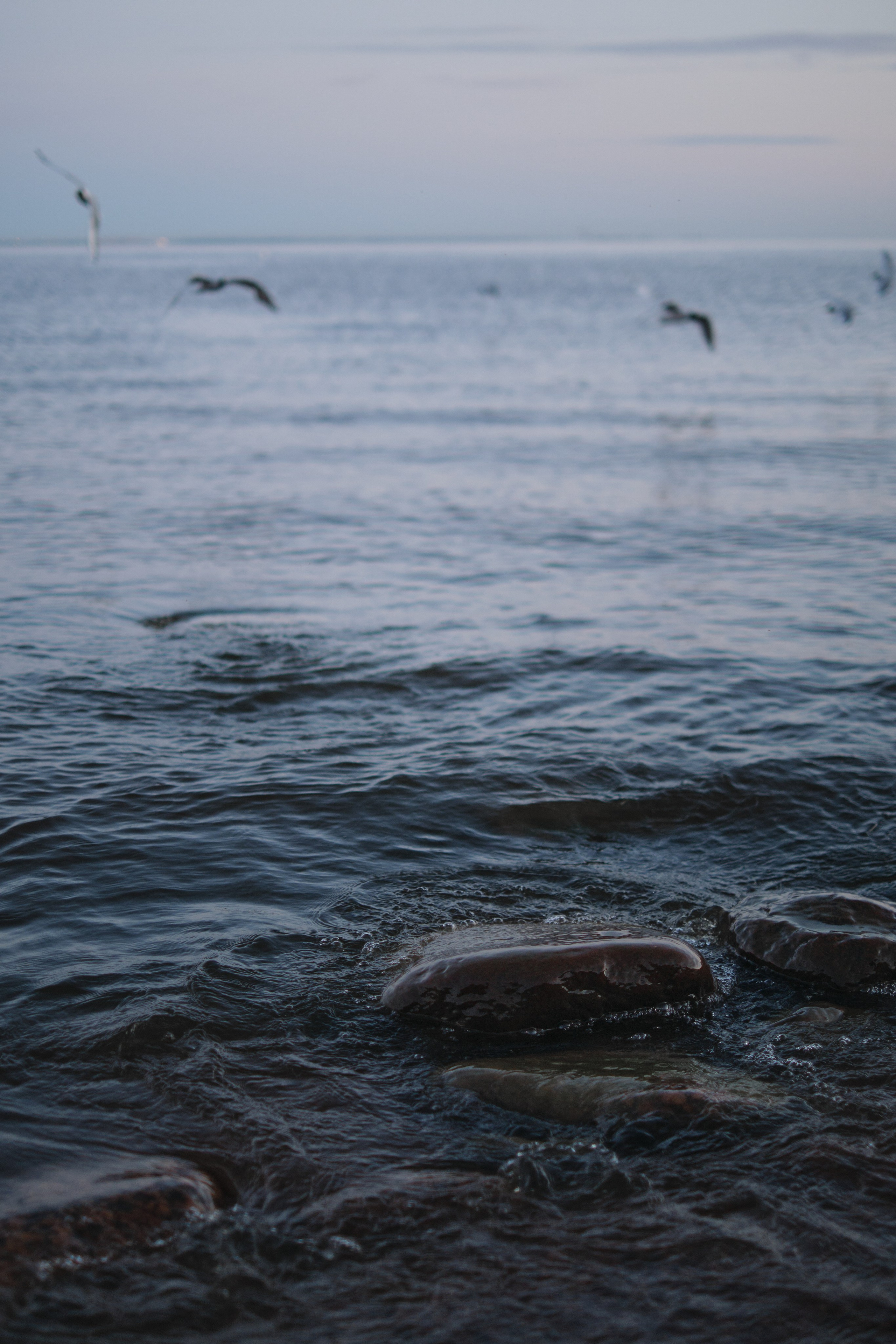 Анна и Дмитрий. Фотограф в Москве и Санкт-Петербурге