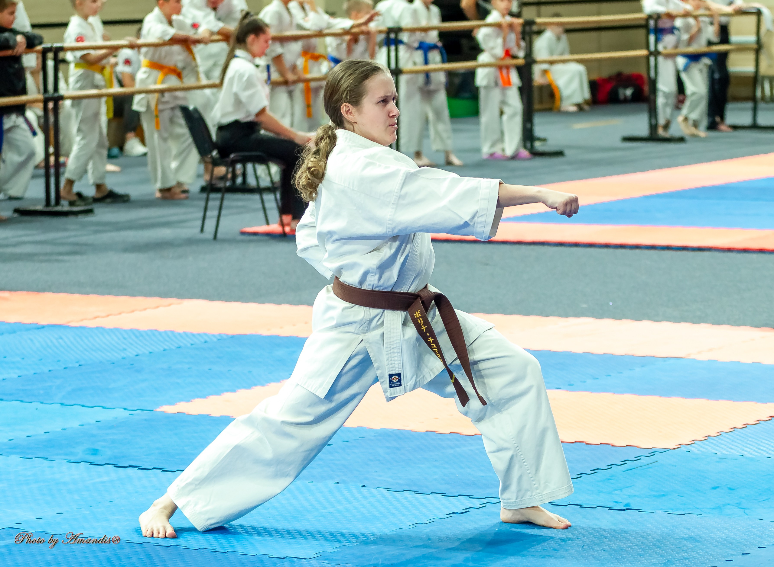 Первенство Московской области по Киокушин в СК «Жаворонки». Репортажная съемка в Москве и области. Анималистика