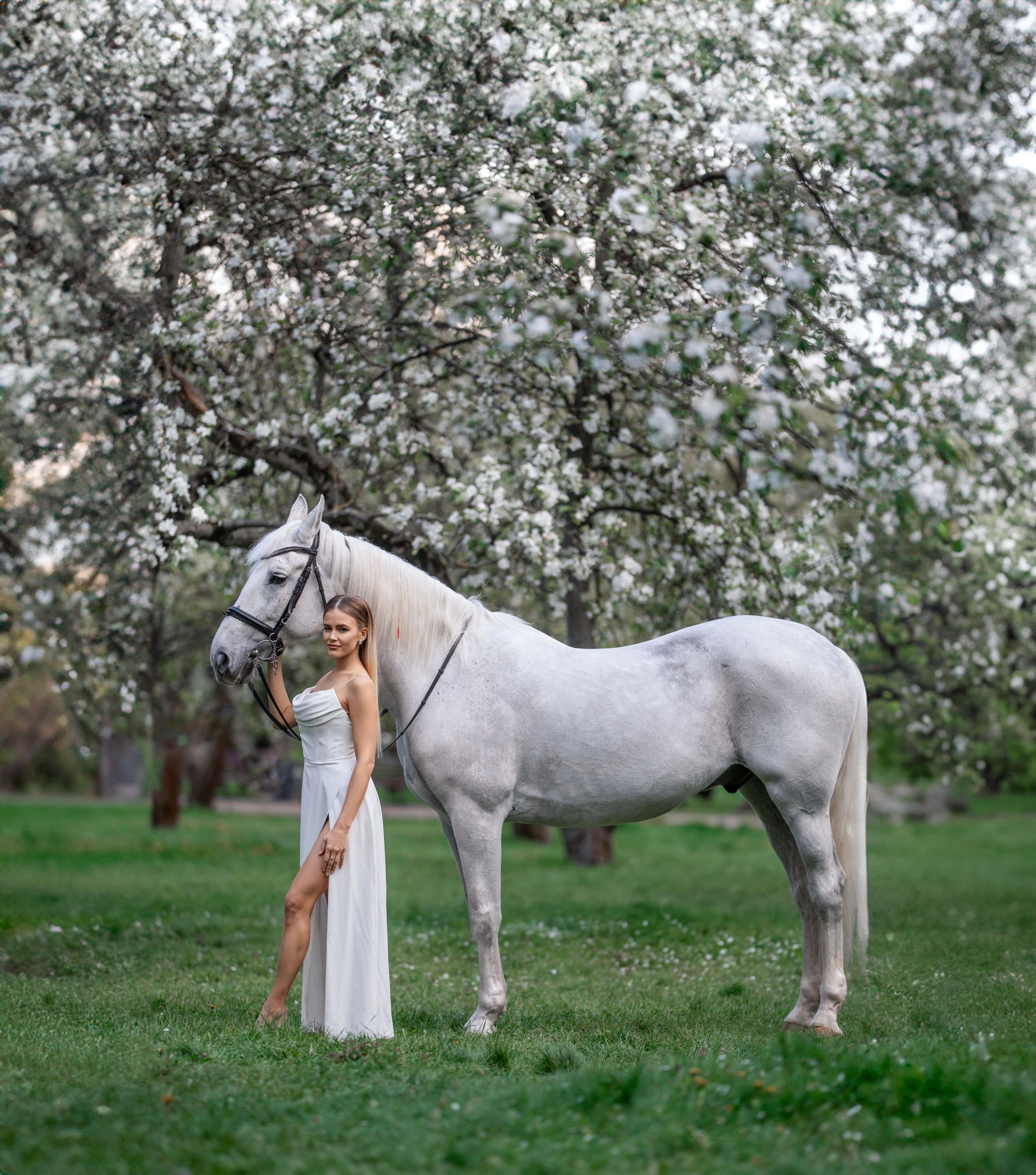 Цветение садов. Профессиональный фотограф в Москве Марина Григорьева