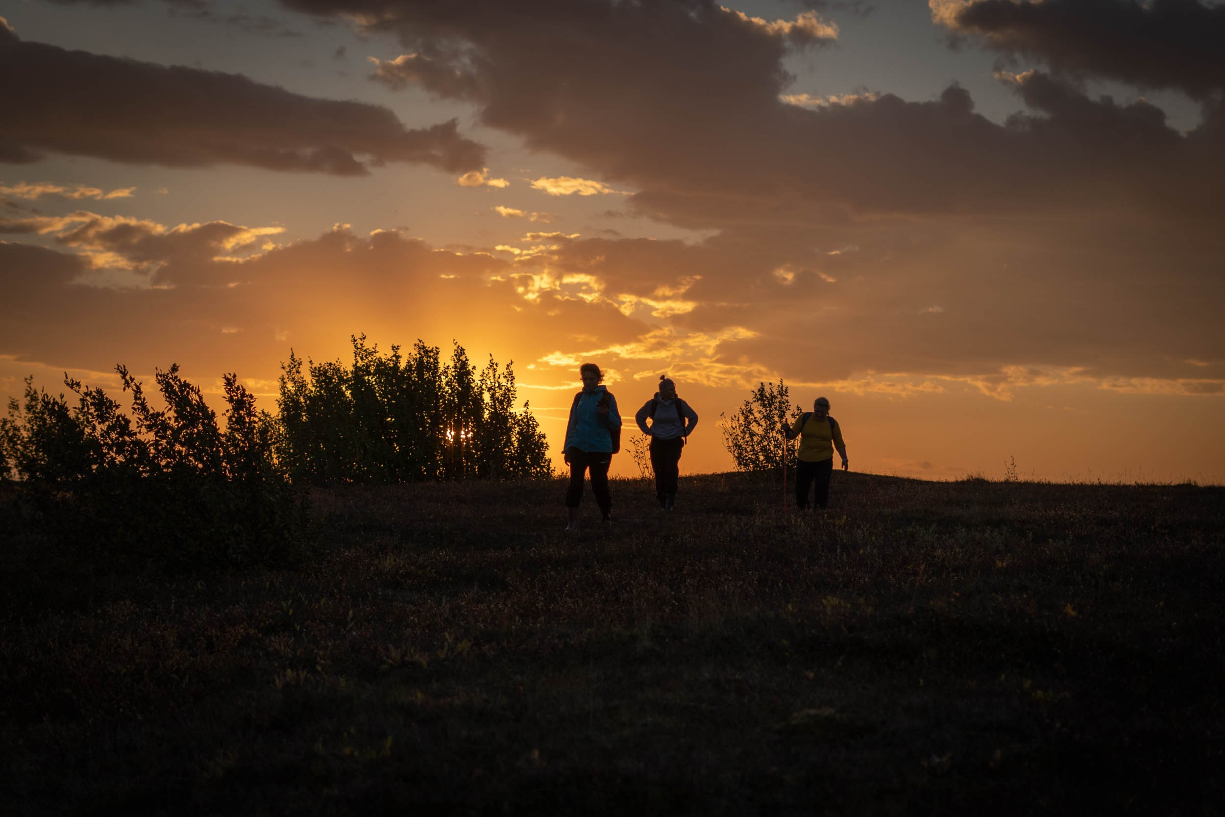 Рифы девонского моря. Фотограф Екатерина Зорина