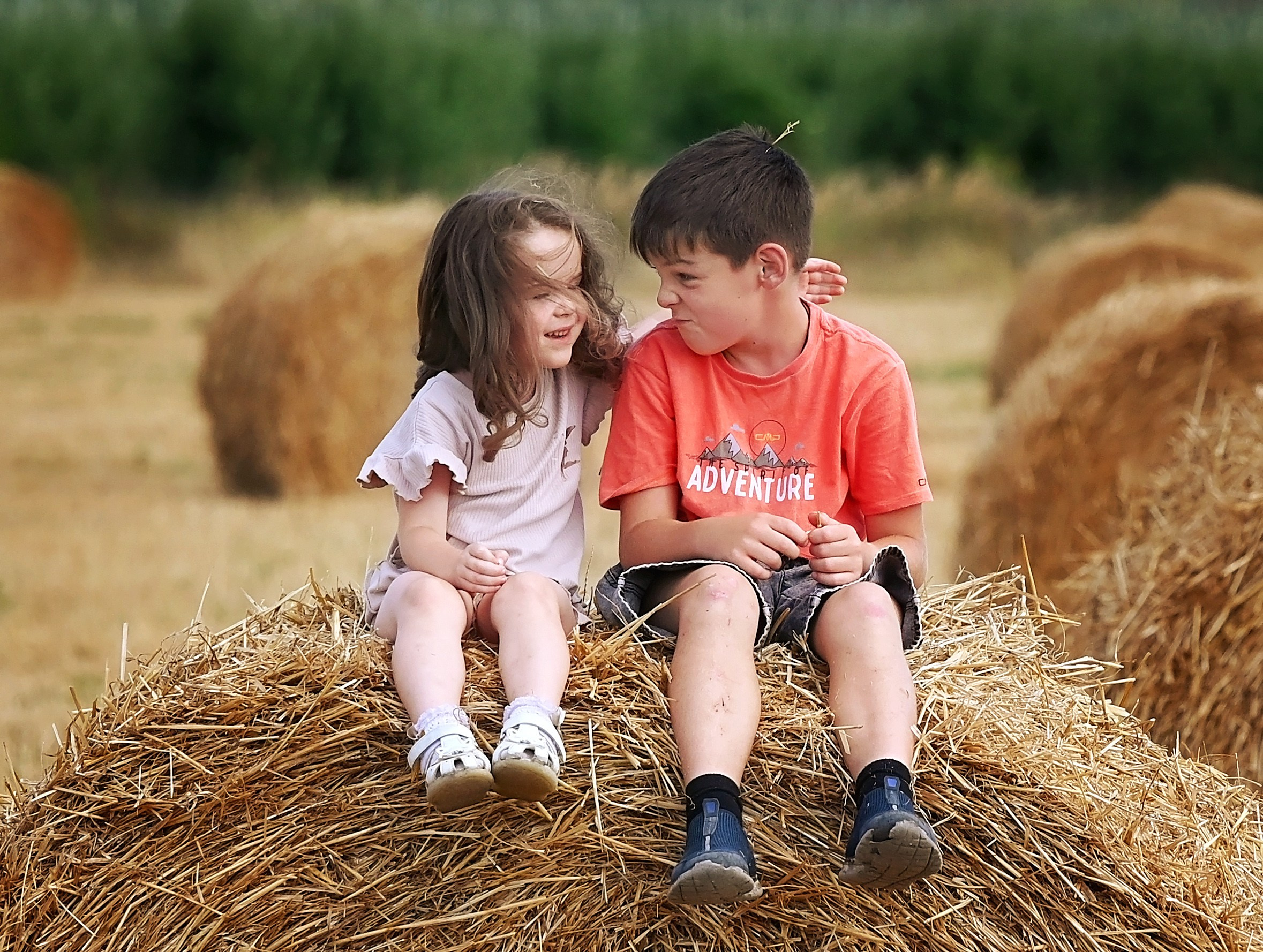 Сено. Главная