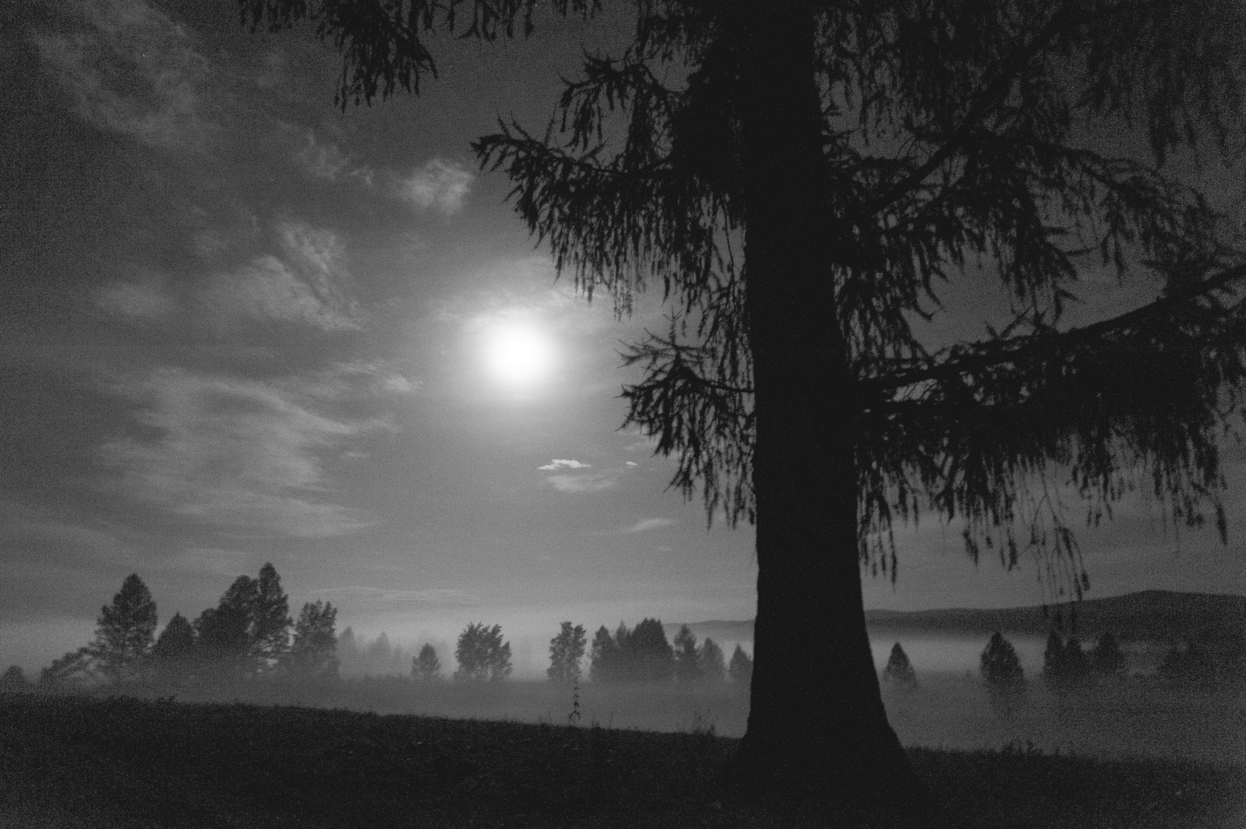 Отдых в Азасе. Свадебный фотограф в Кызыле Ай-Херел Ондар