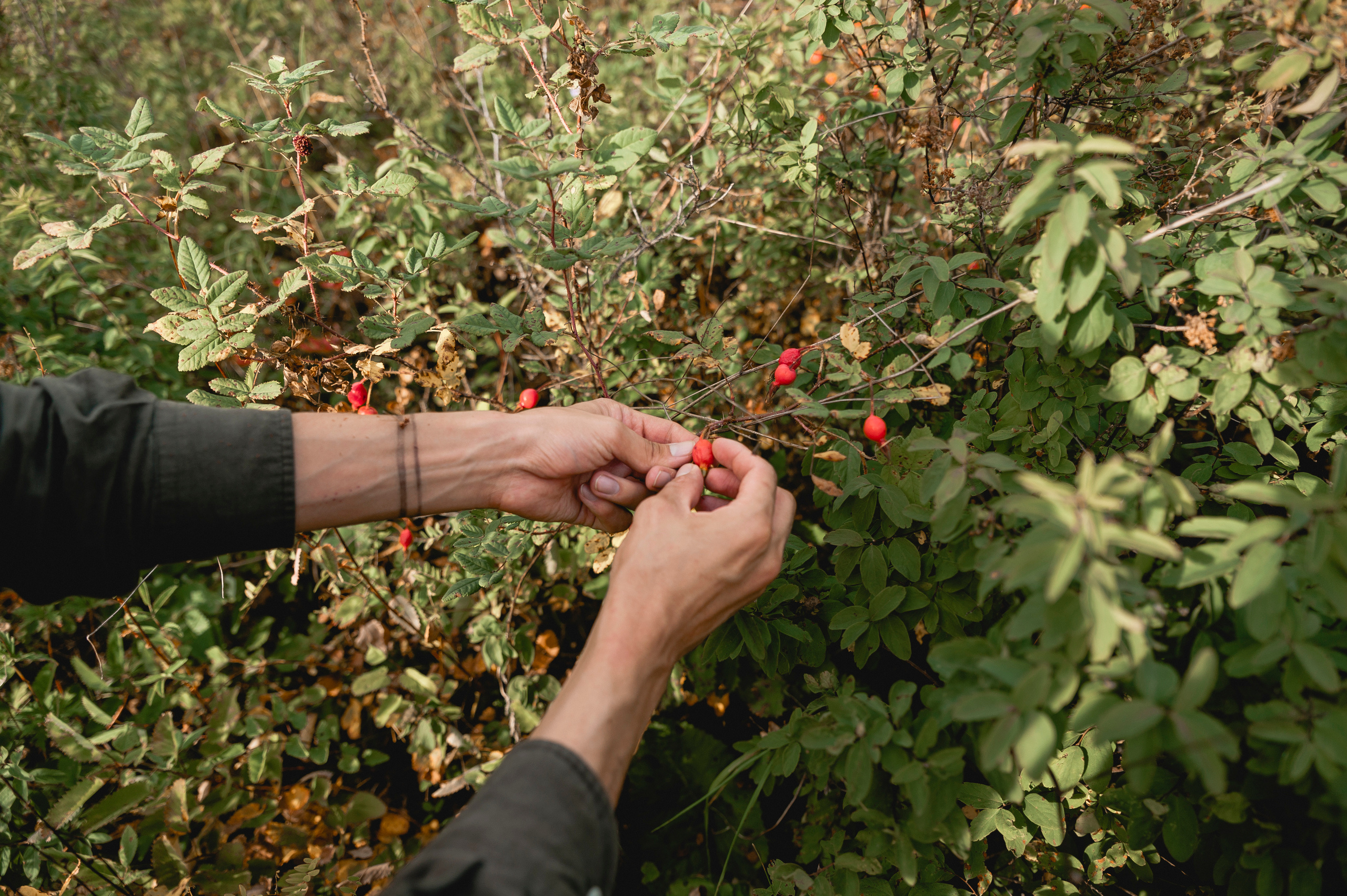 Отдых в Азасе. Свадебный фотограф в Кызыле Ай-Херел Ондар