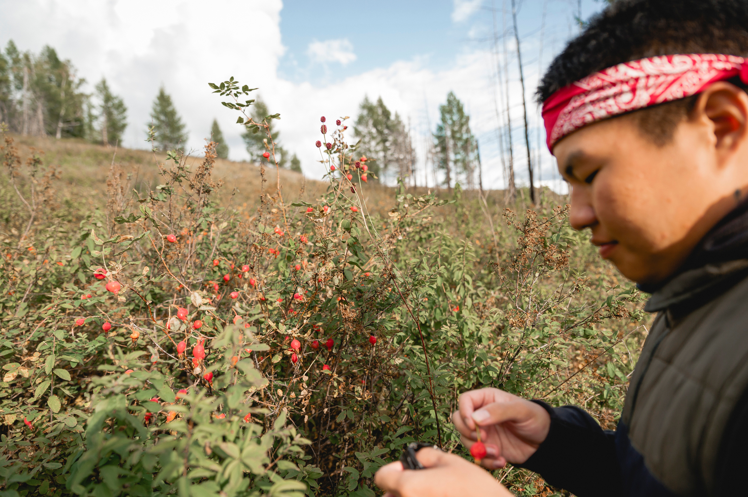 Отдых в Азасе. Свадебный фотограф в Кызыле Ай-Херел Ондар
