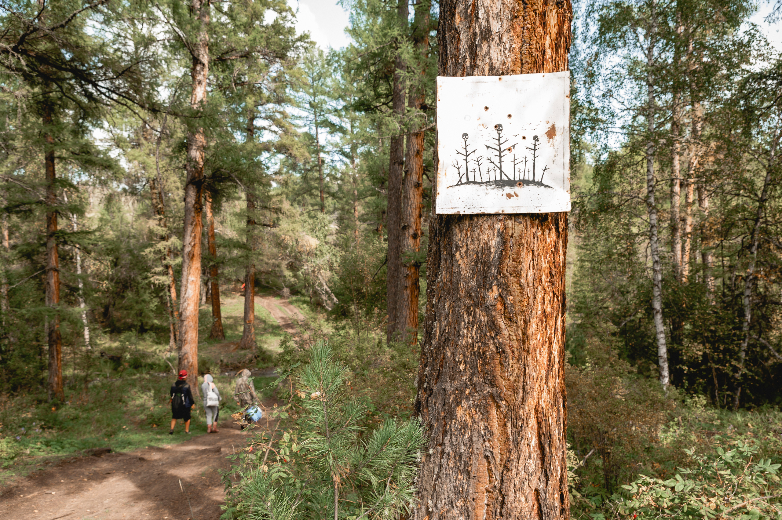Отдых в Азасе. Свадебный фотограф в Кызыле Ай-Херел Ондар