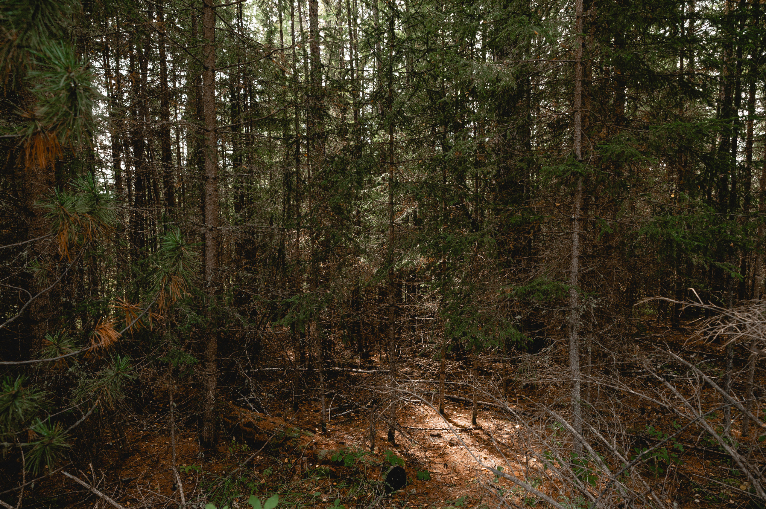 Отдых в Азасе. Свадебный фотограф в Кызыле Ай-Херел Ондар