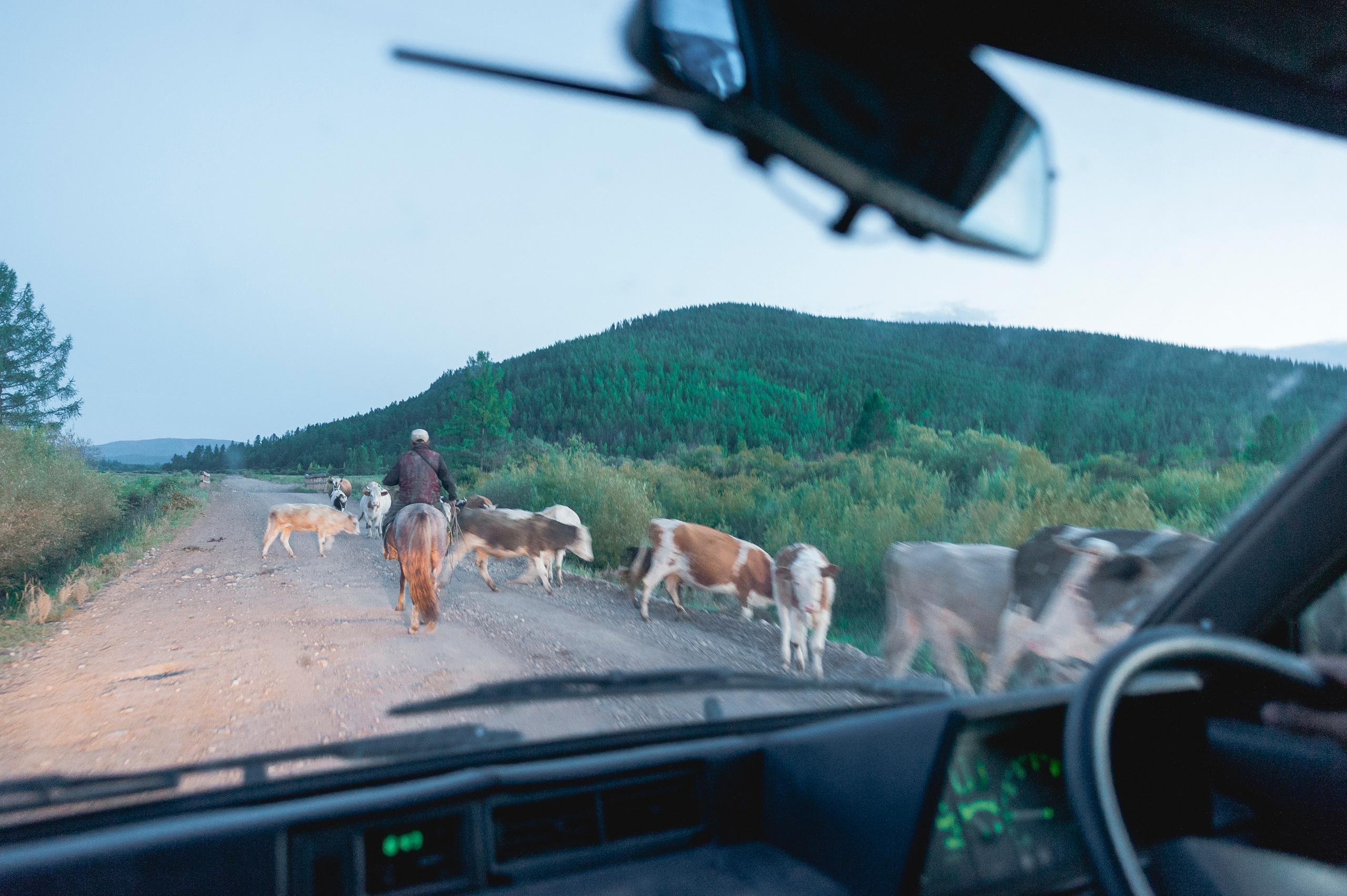 Отдых в Азасе. Свадебный фотограф в Кызыле Ай-Херел Ондар